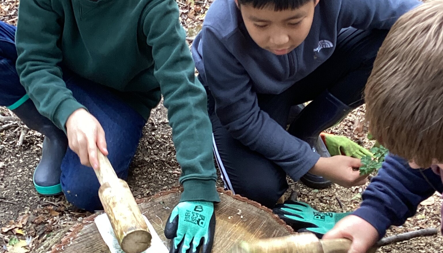 Forest School Sept 26
