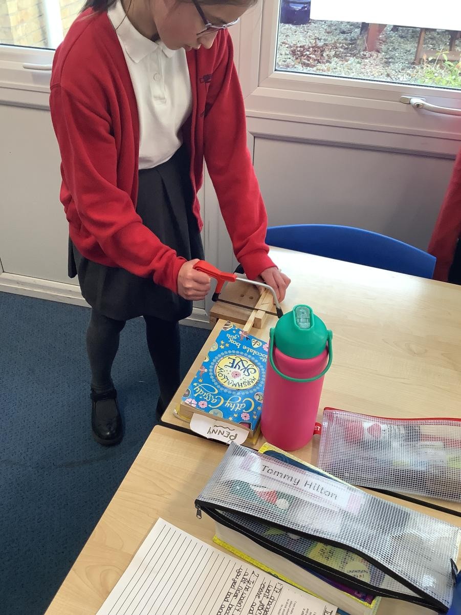 We explored different ways of using saws to chop wood.