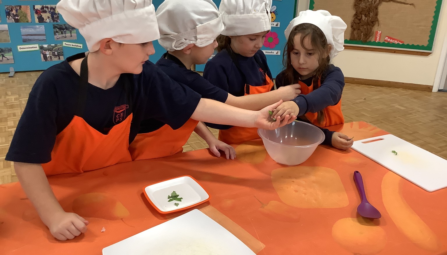 We enjoyed our Roots to Food experience!