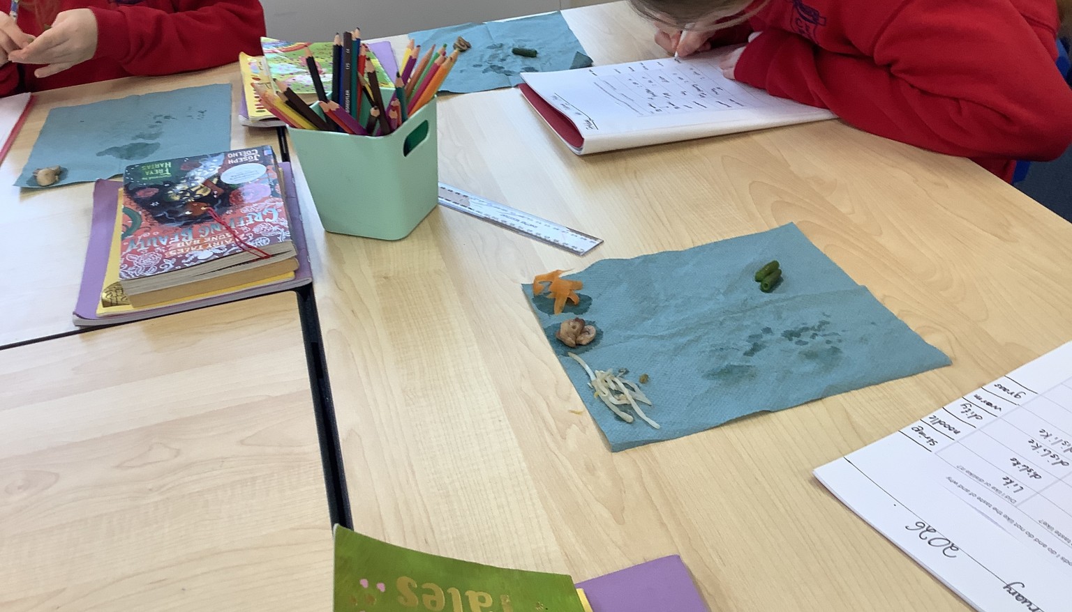 We tasted vegetables in DT in preparation for making a stirfry! 