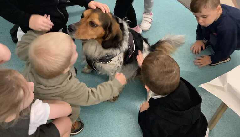Our school dog Arlo came to visit!