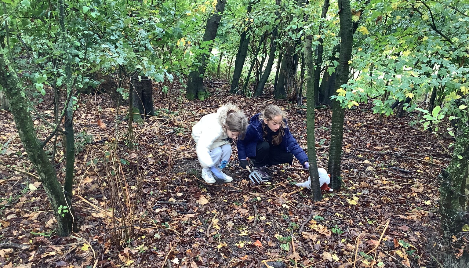 Autumn Term