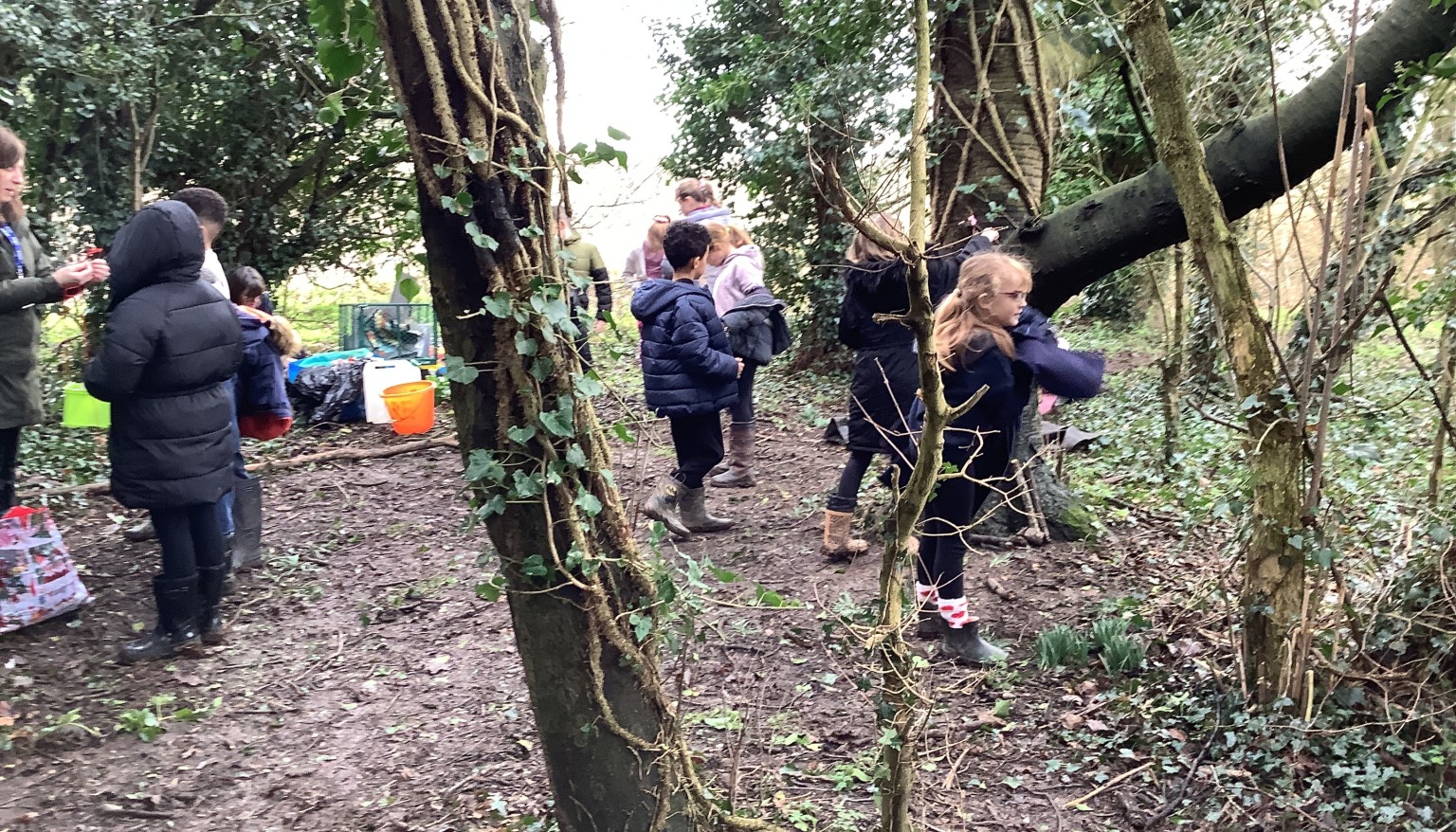 Forest School - Spring Term