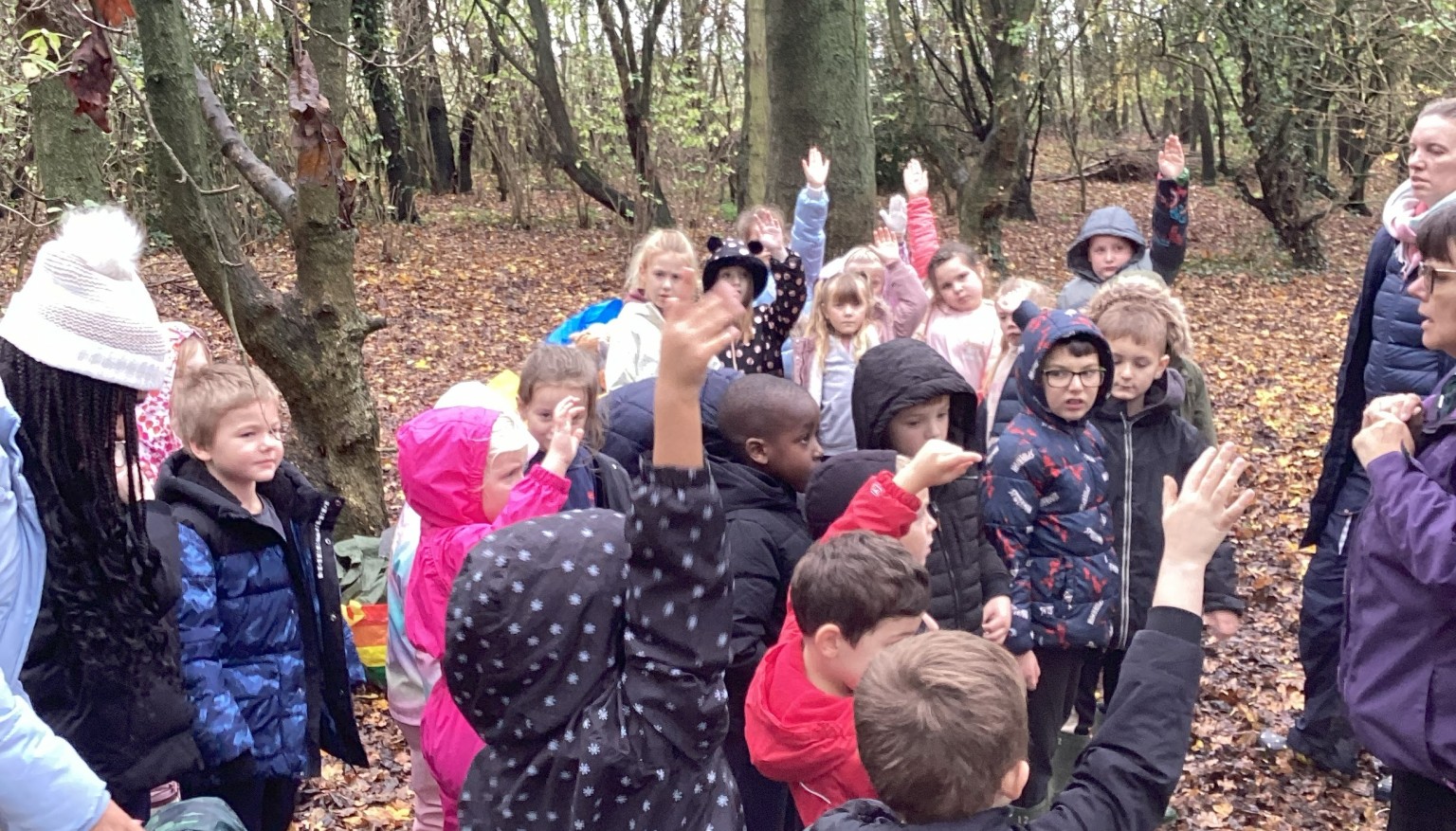 Forest School