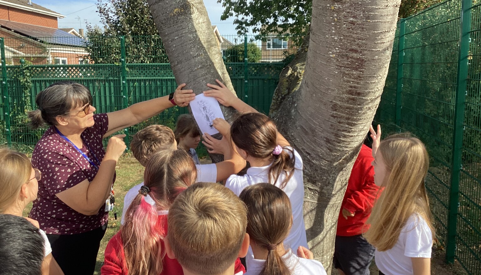 Science - Plant / Tree classification