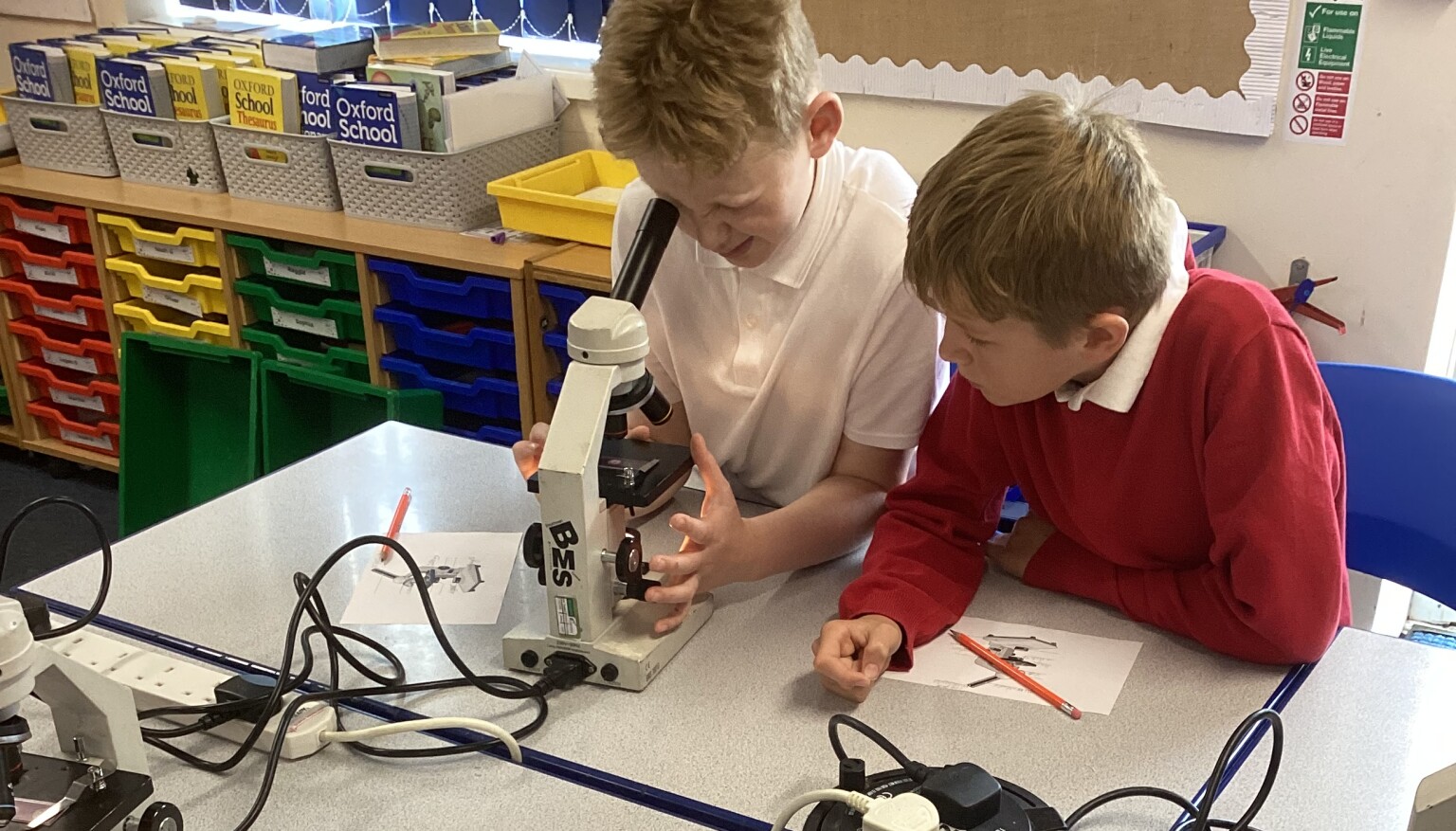 Science - Microscope session
