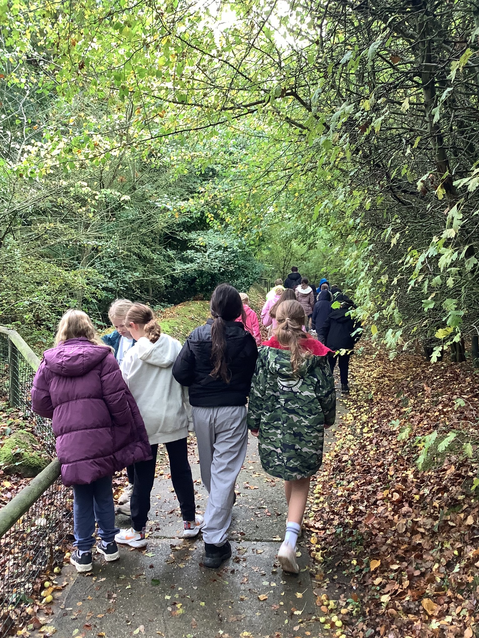 We explored the Amazon rainforest at Amazona.