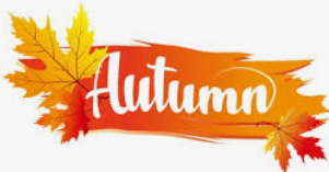Autumn pictures