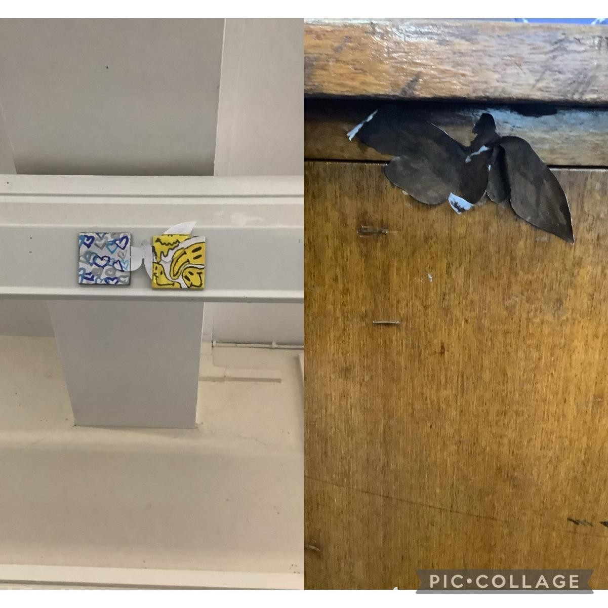 We created some butterflies to survive within our classroom.