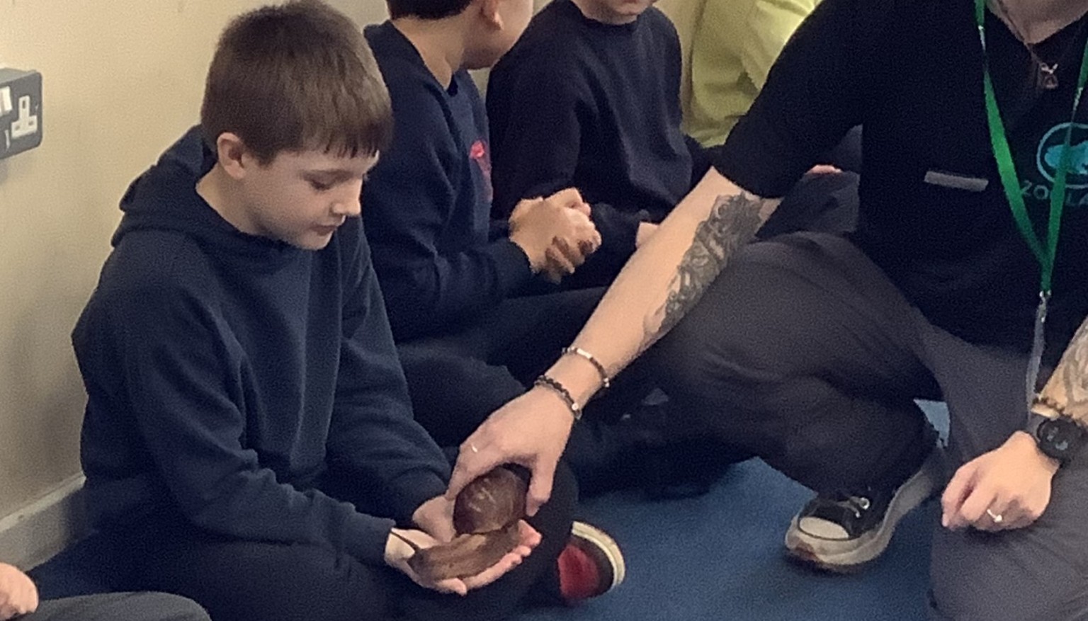 Horizon Birthday! Giant African land snail