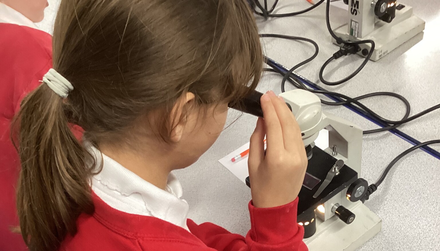 Science - Microscope session