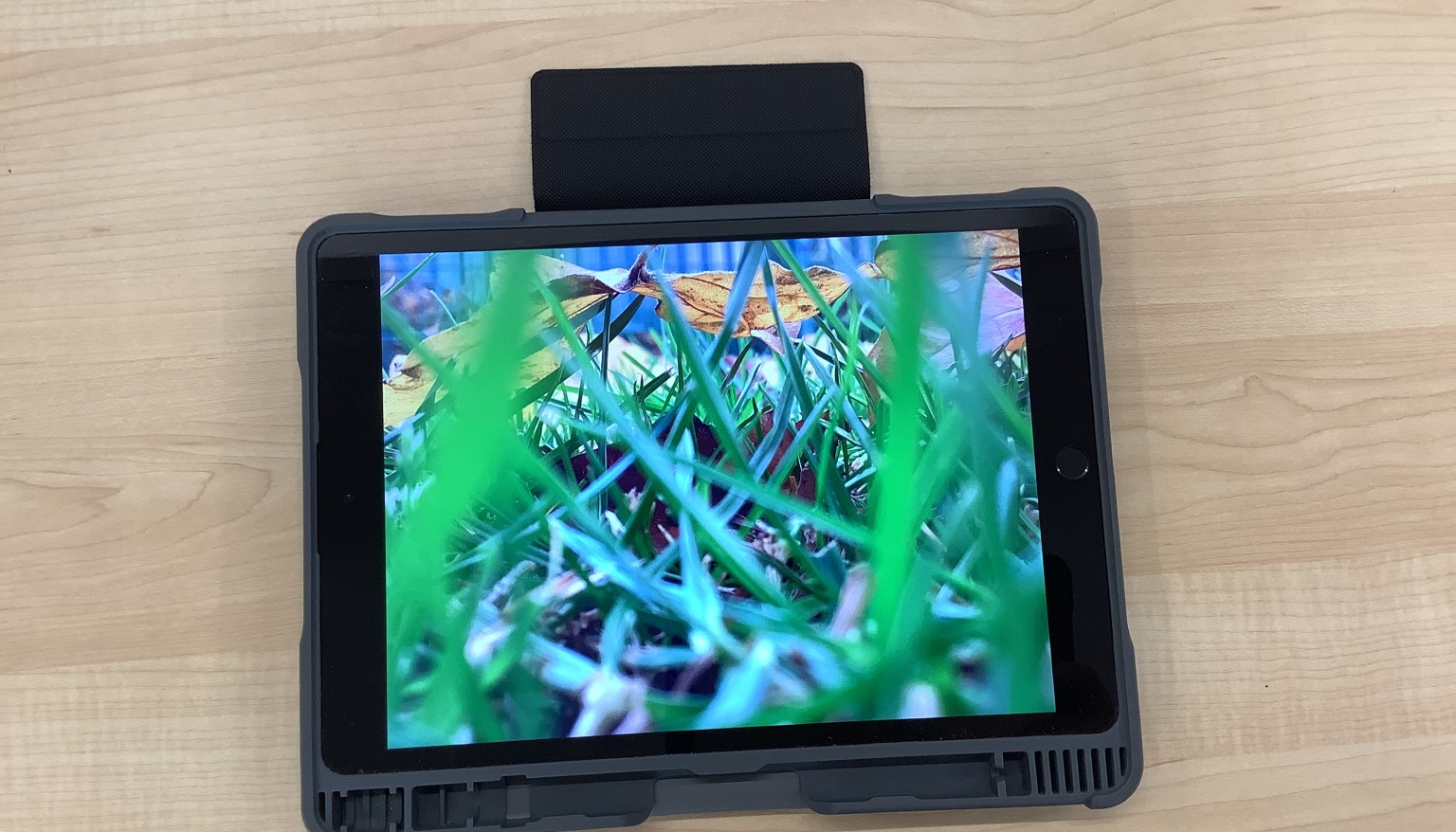 In art, we have started our topic Digital Design and used iPads to capture photos of the school grounds.