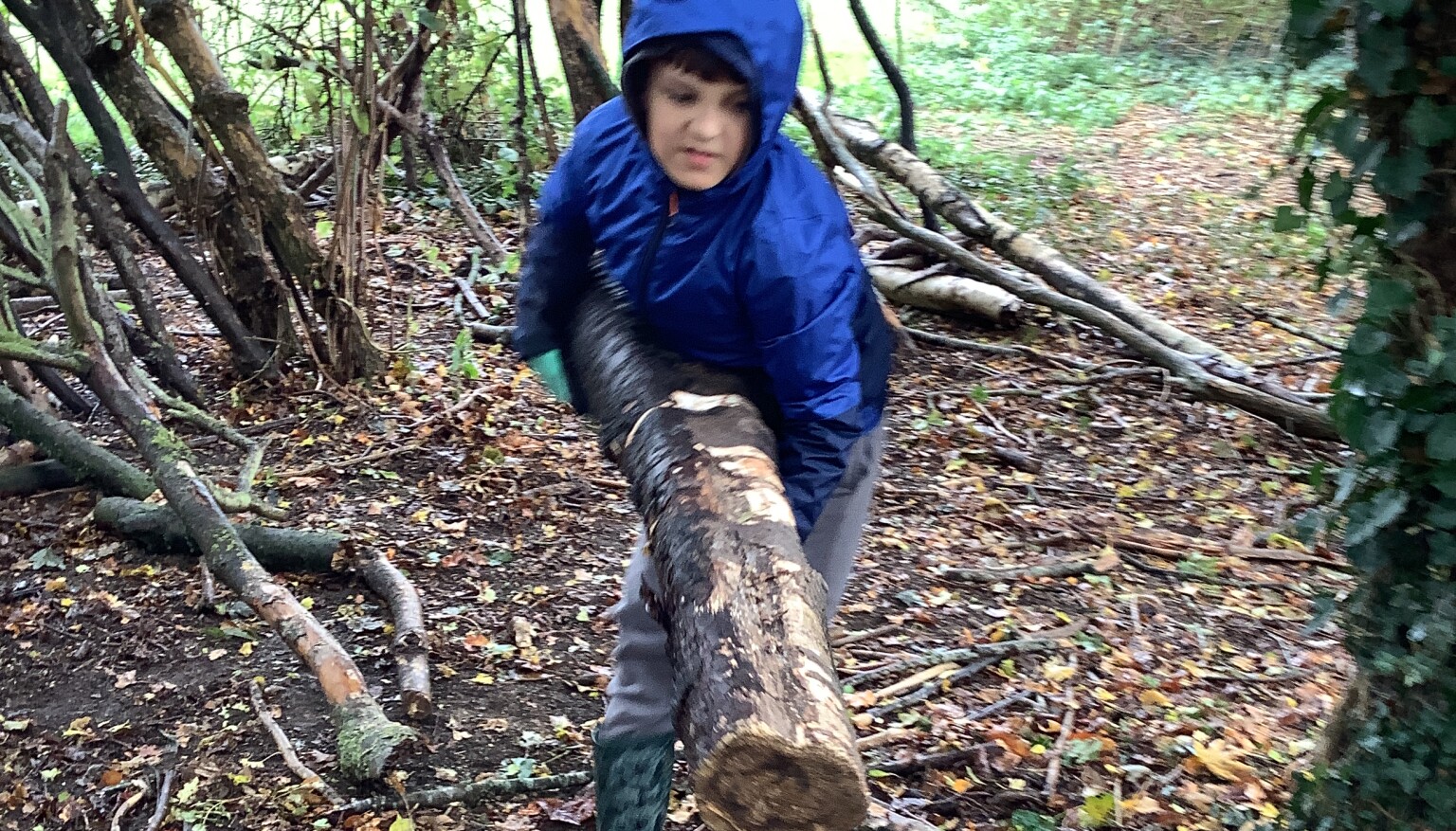 Autumn Term