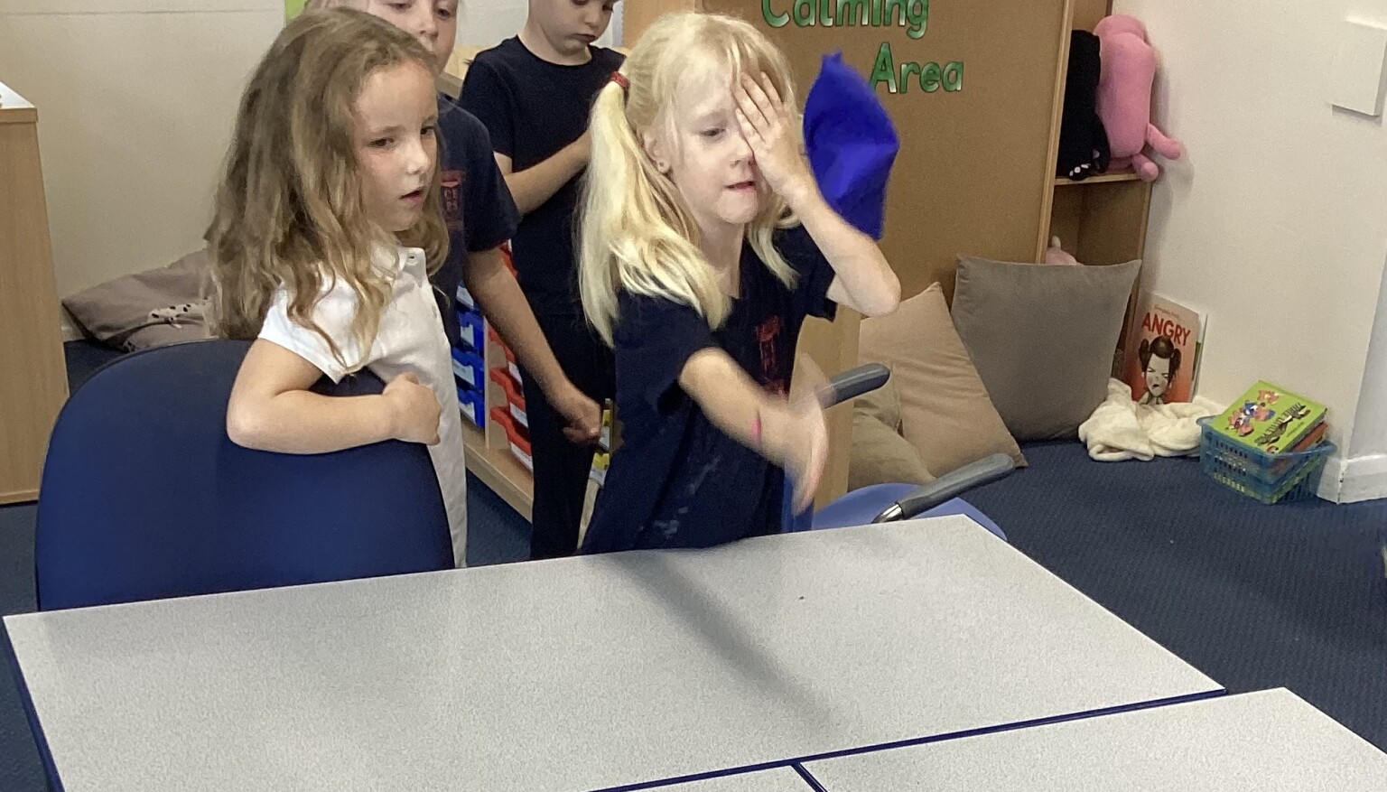 Science - We completed a sight investigation