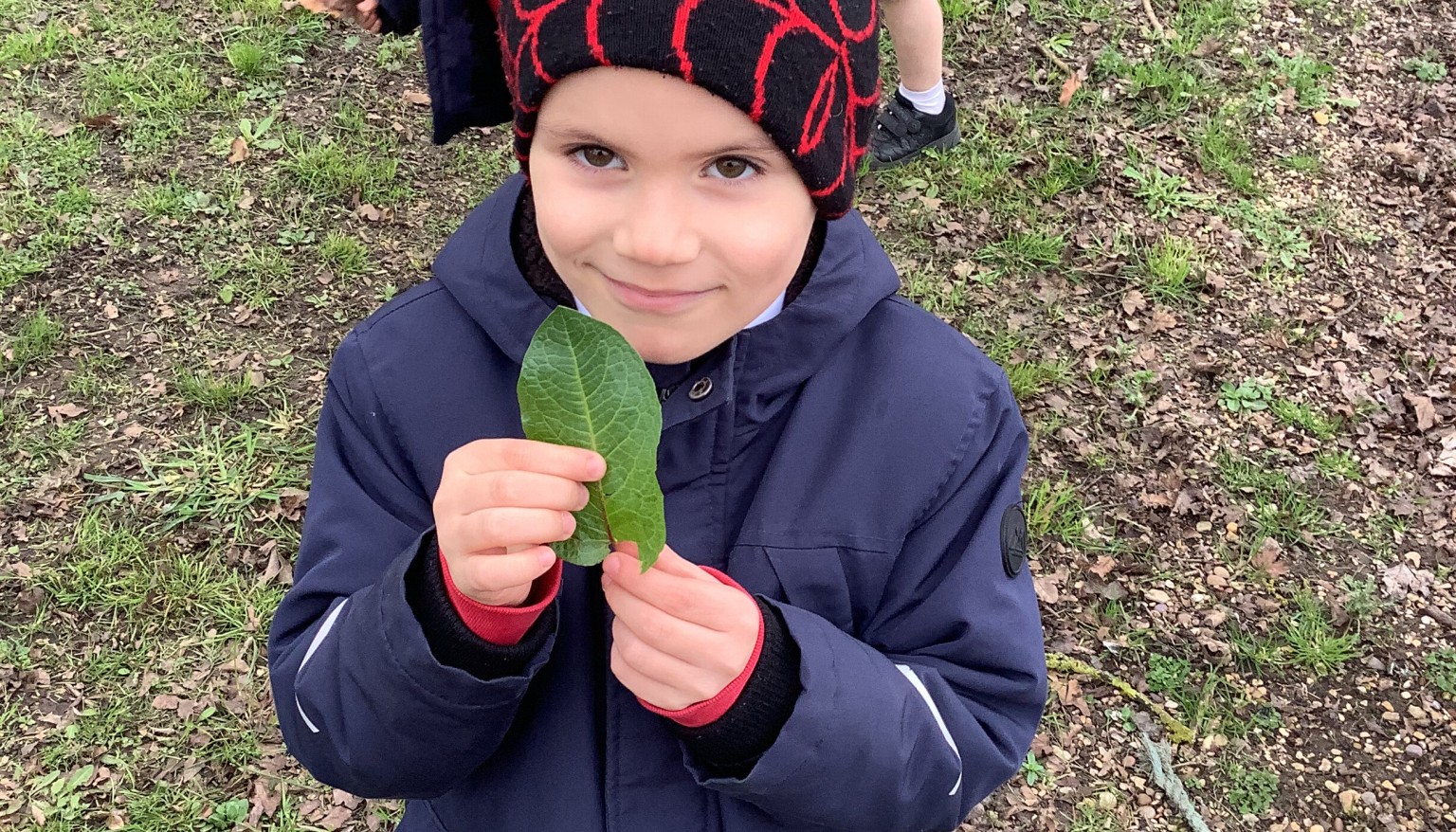 Hunting for leaves to leaf rub