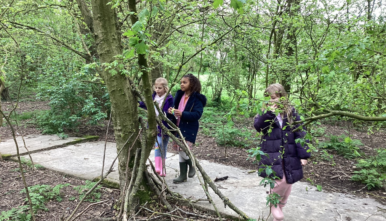 Having fun in the forest