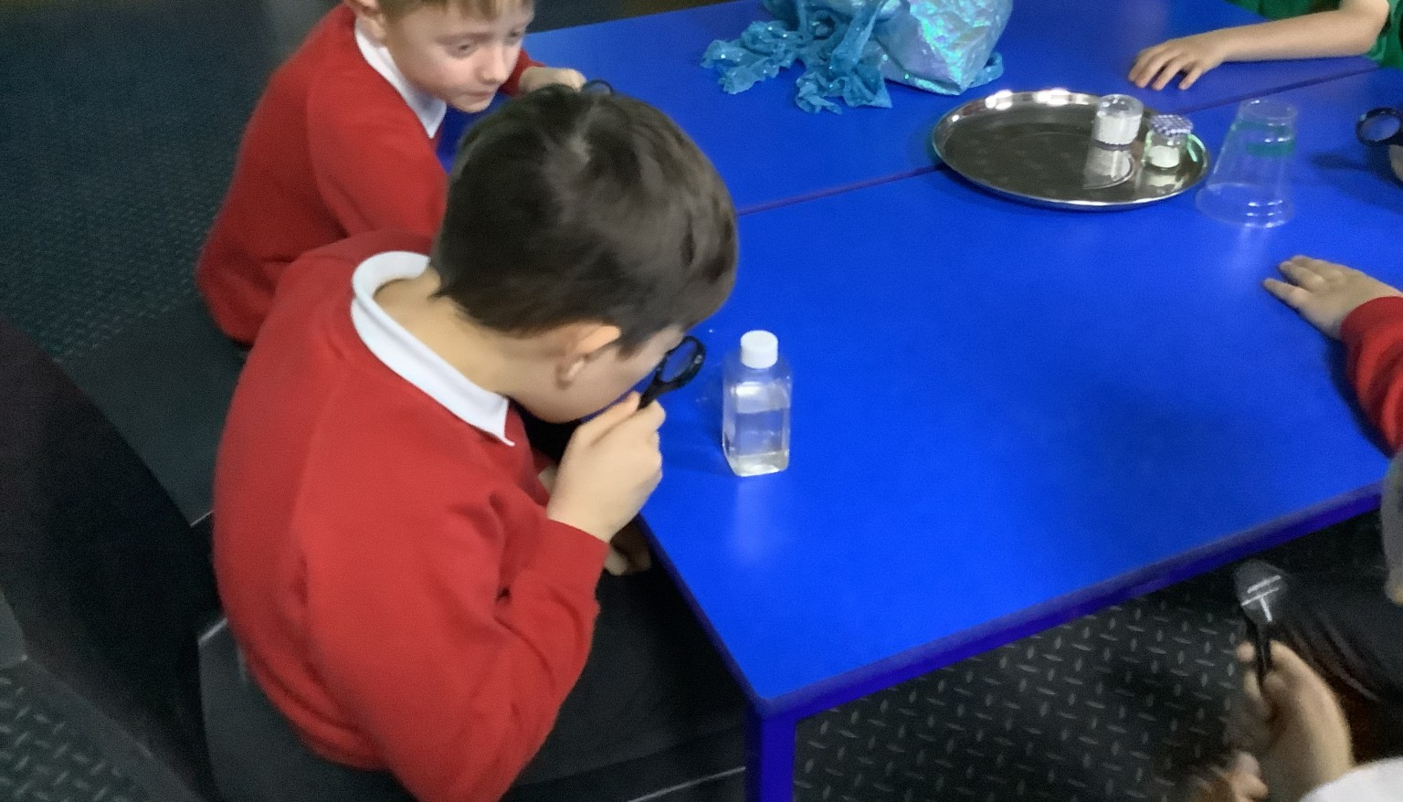 Our trip to The Deep to support our Blue Planet and Living Things topics.