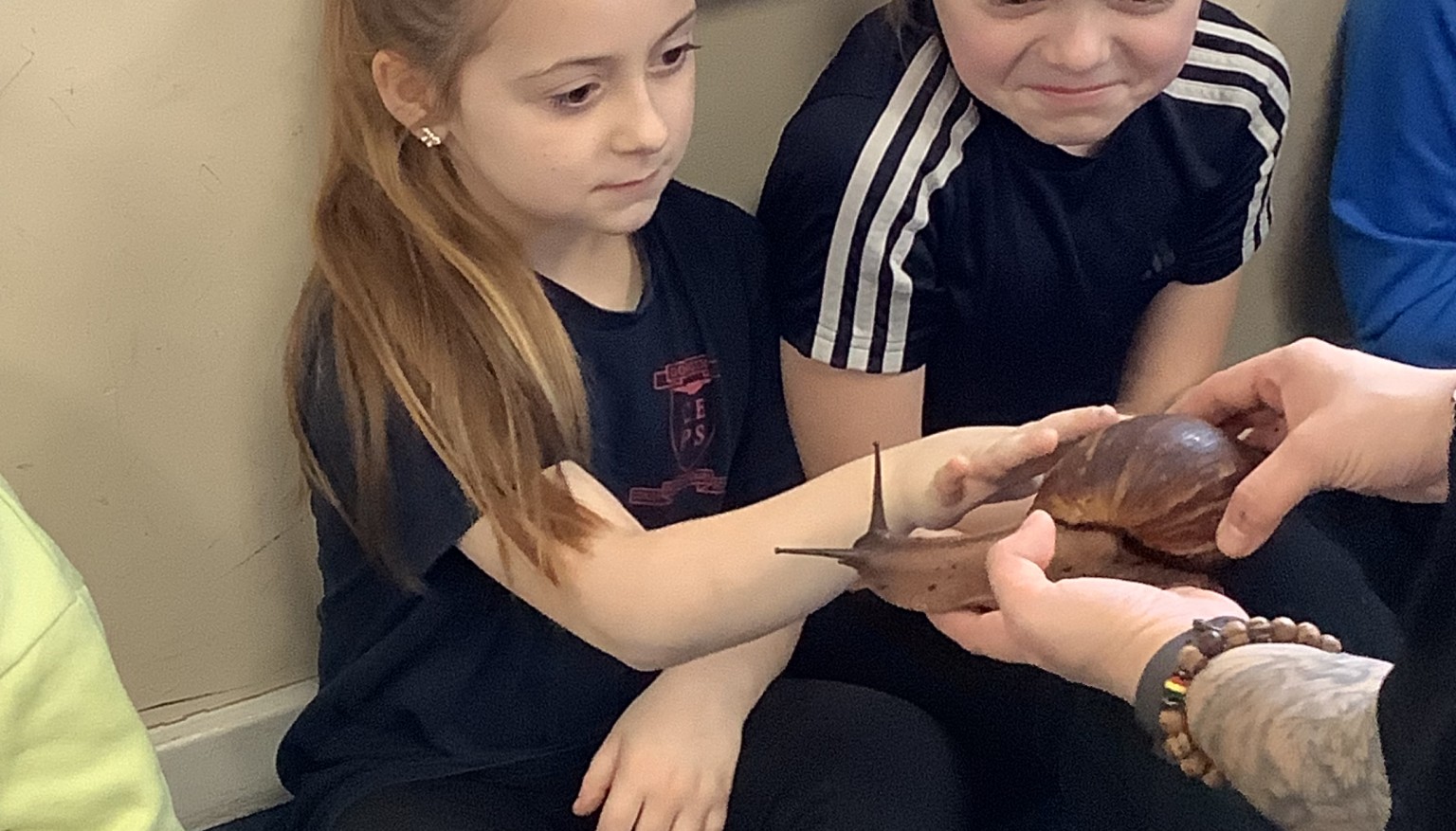 Horizon Birthday! Giant African land snail