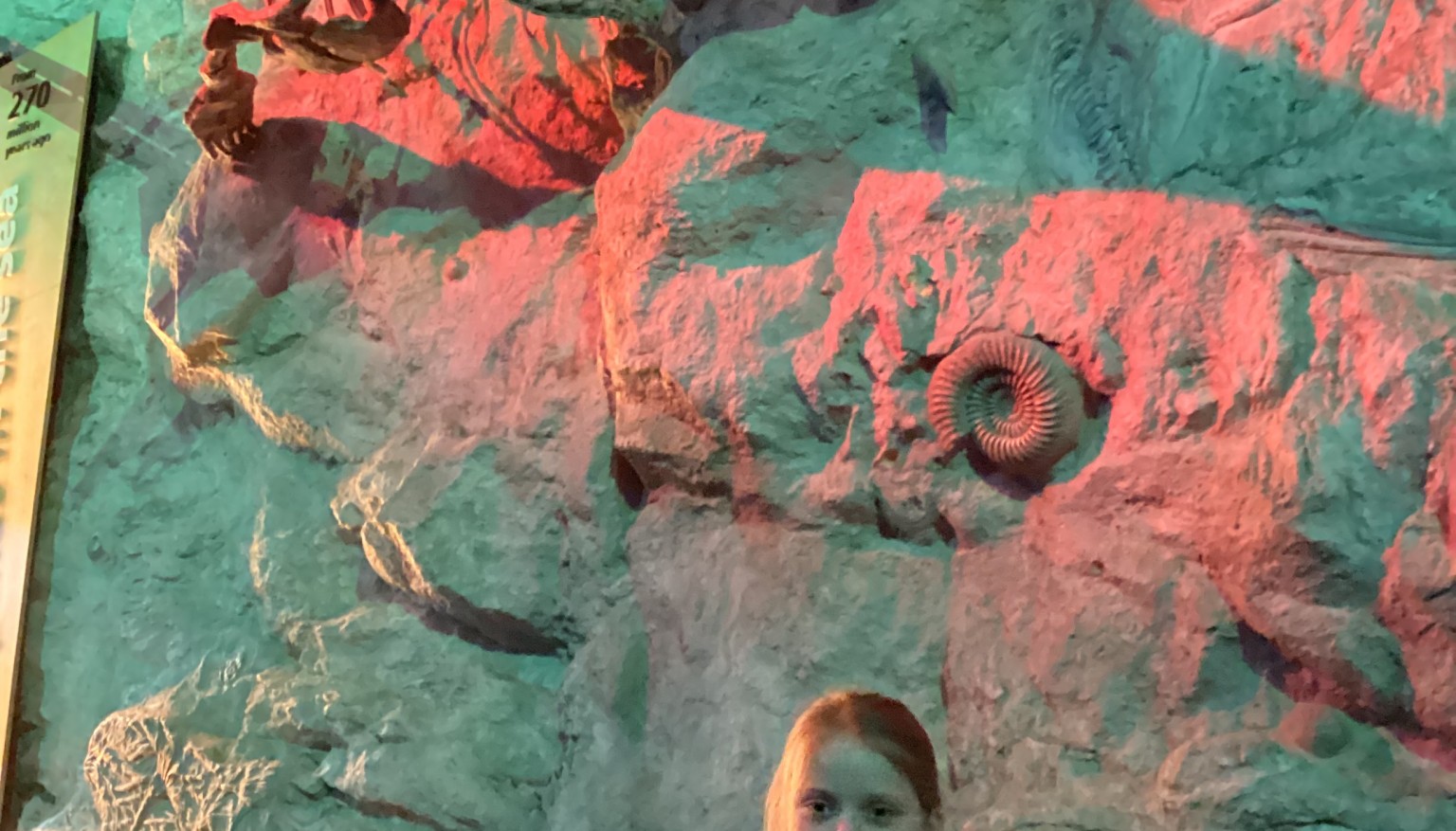 Deep 2026 - Learning lots