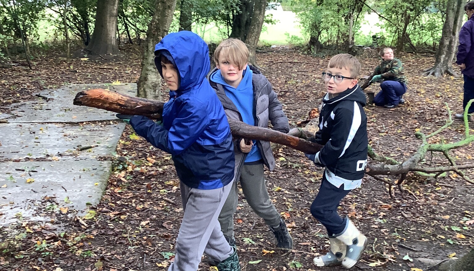 Autumn Term