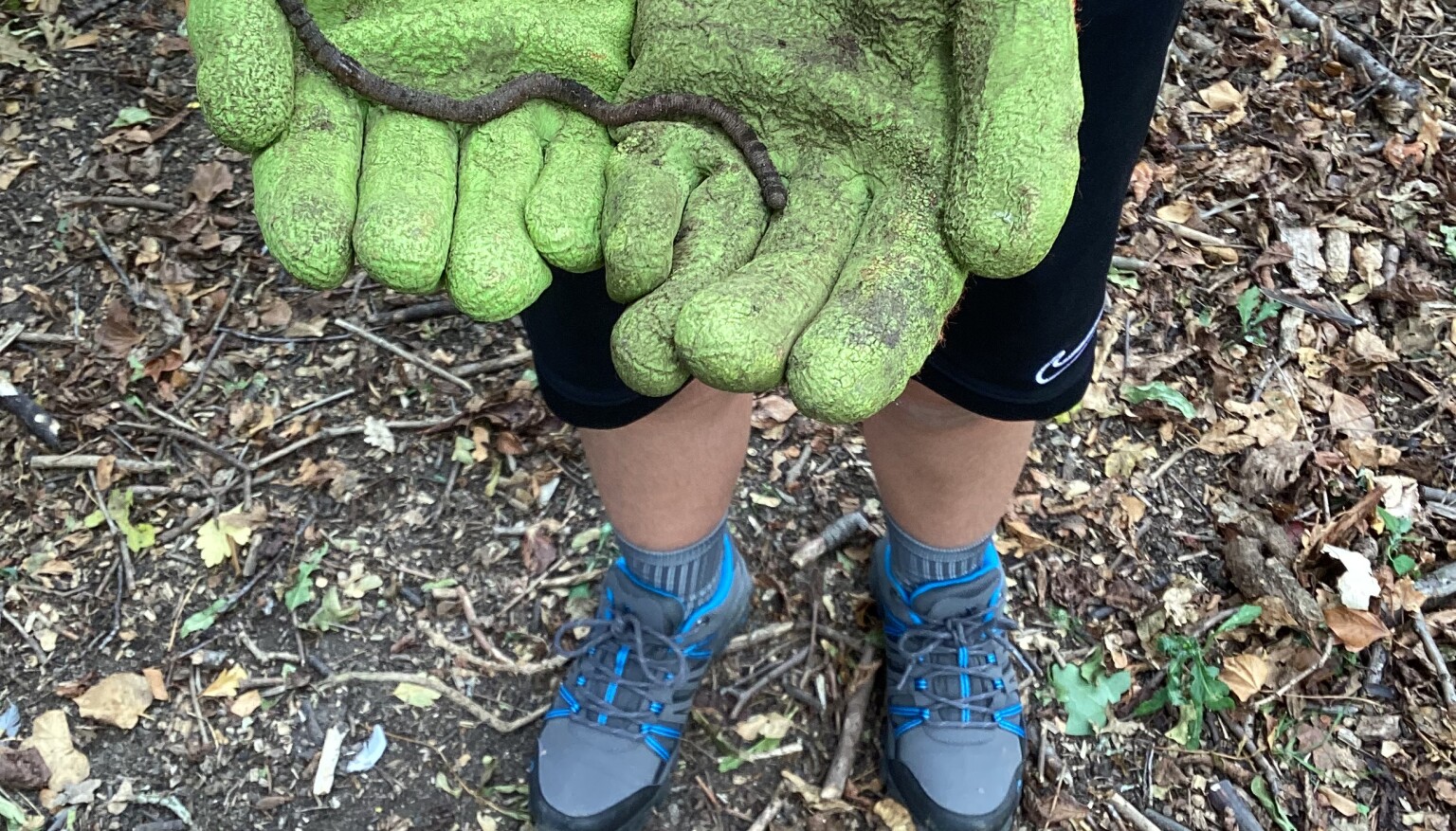 Forest School Sept 26