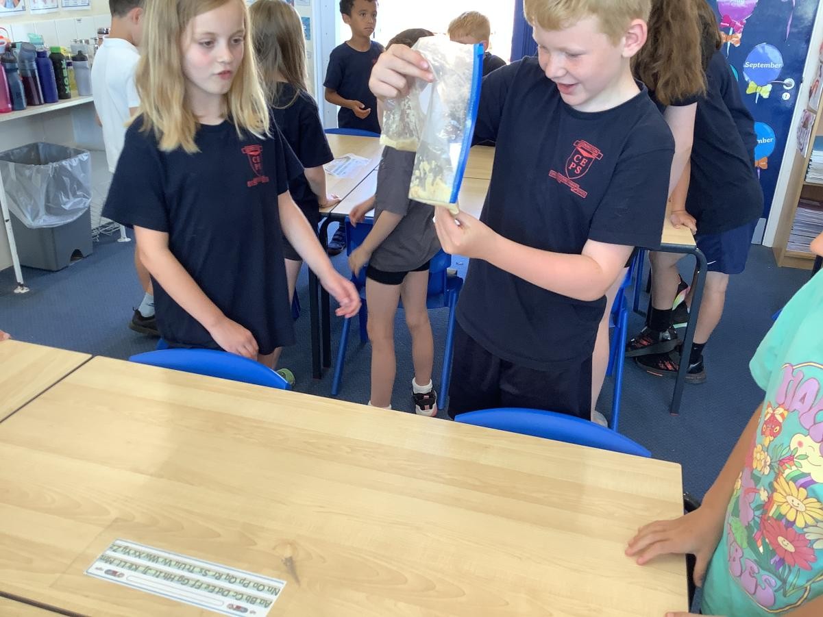 For our digestion topic in science, we modelled the digestive system using crackers, water, orange juice and tights!