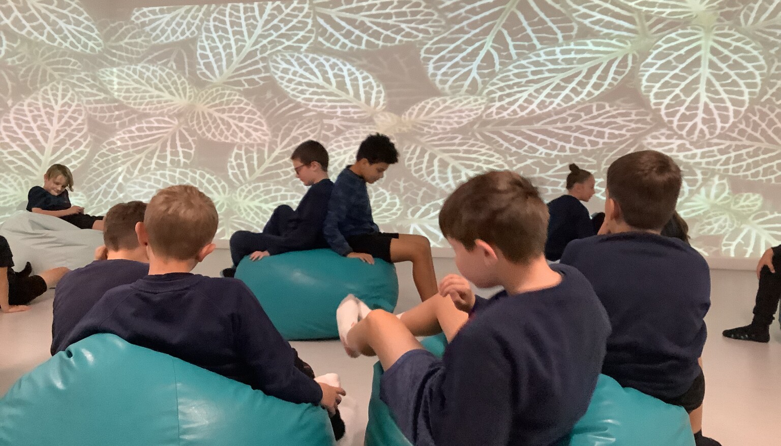 We used the immersive suite to build our voacbularly in preparation for writing a setting description.