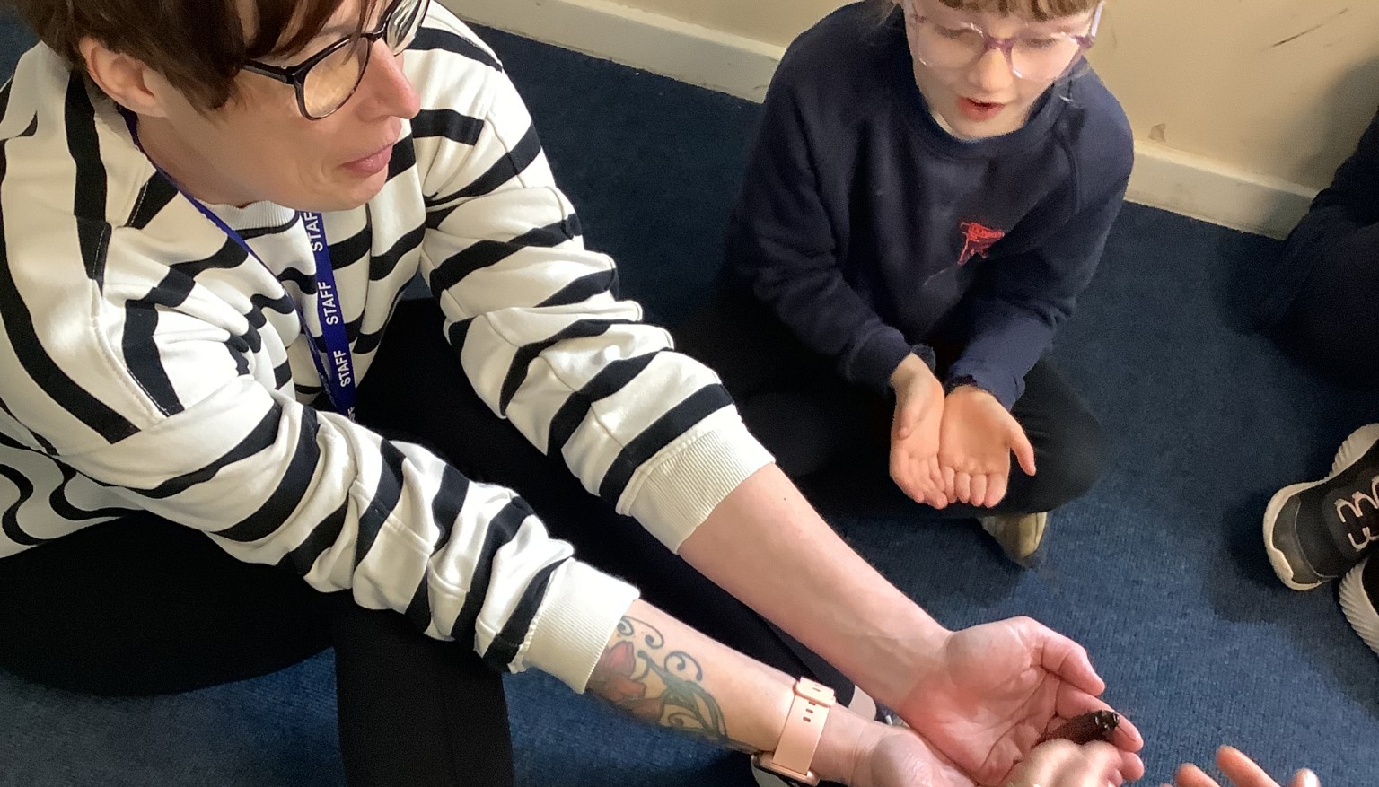 Horizon Birthday! Hissing Cockroach