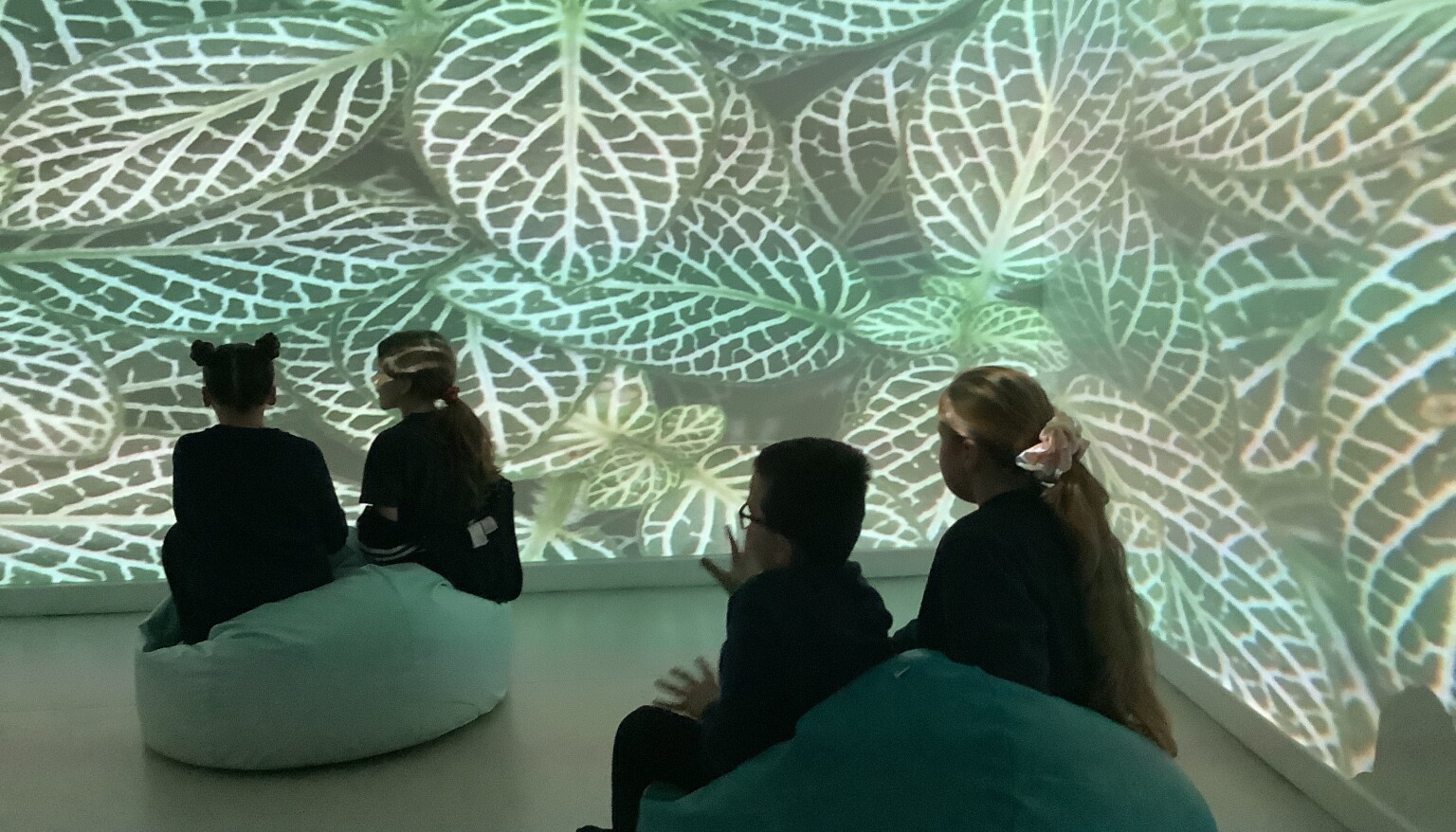 We used the immersive suite to build our voacbularly in preparation for writing a setting description.