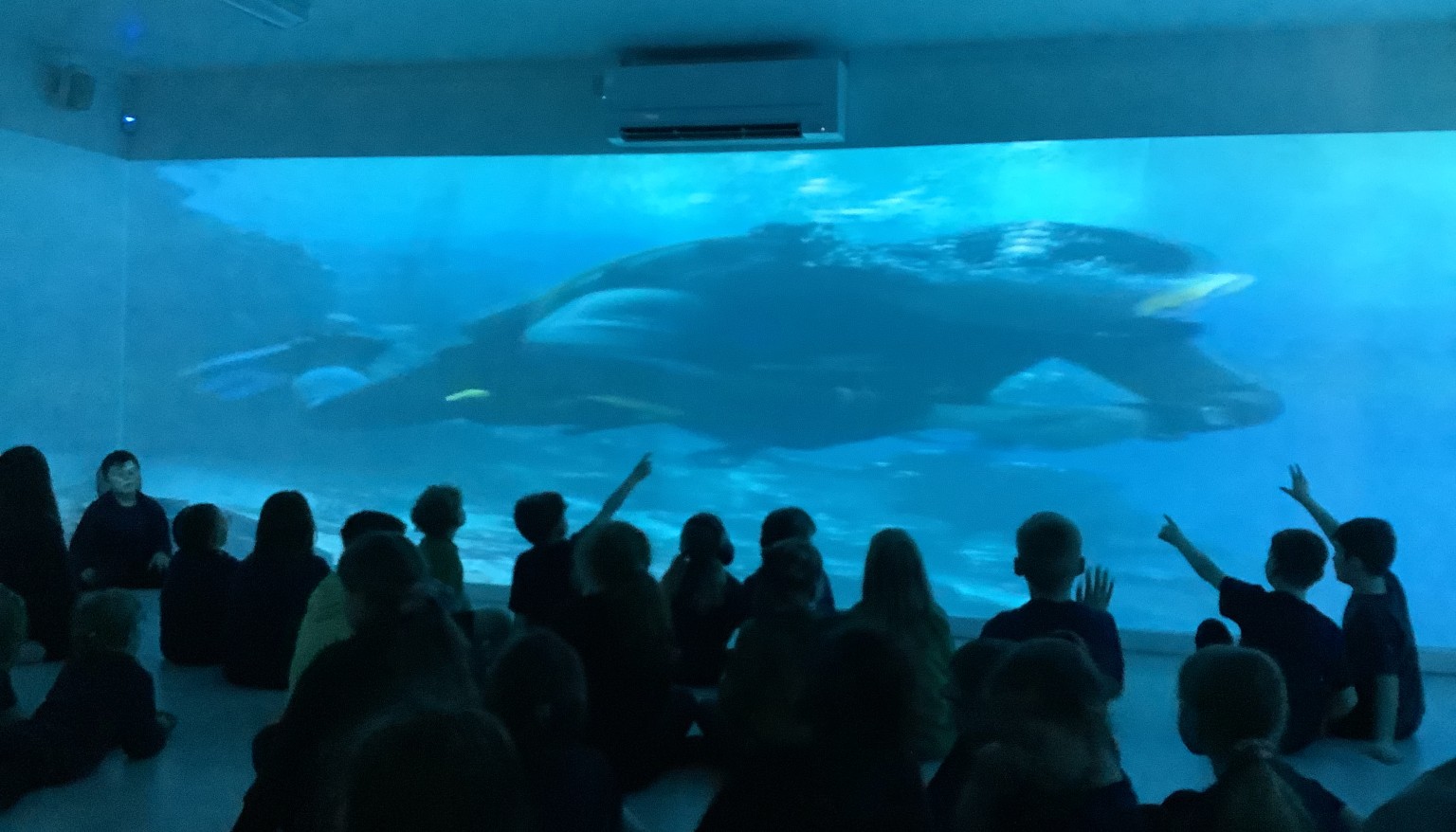 Horizon Birthday! Immersive session