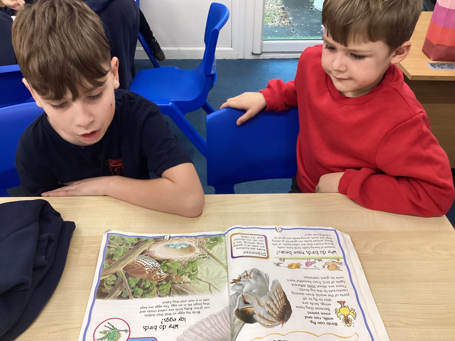 Shared Reading with Rabbits
