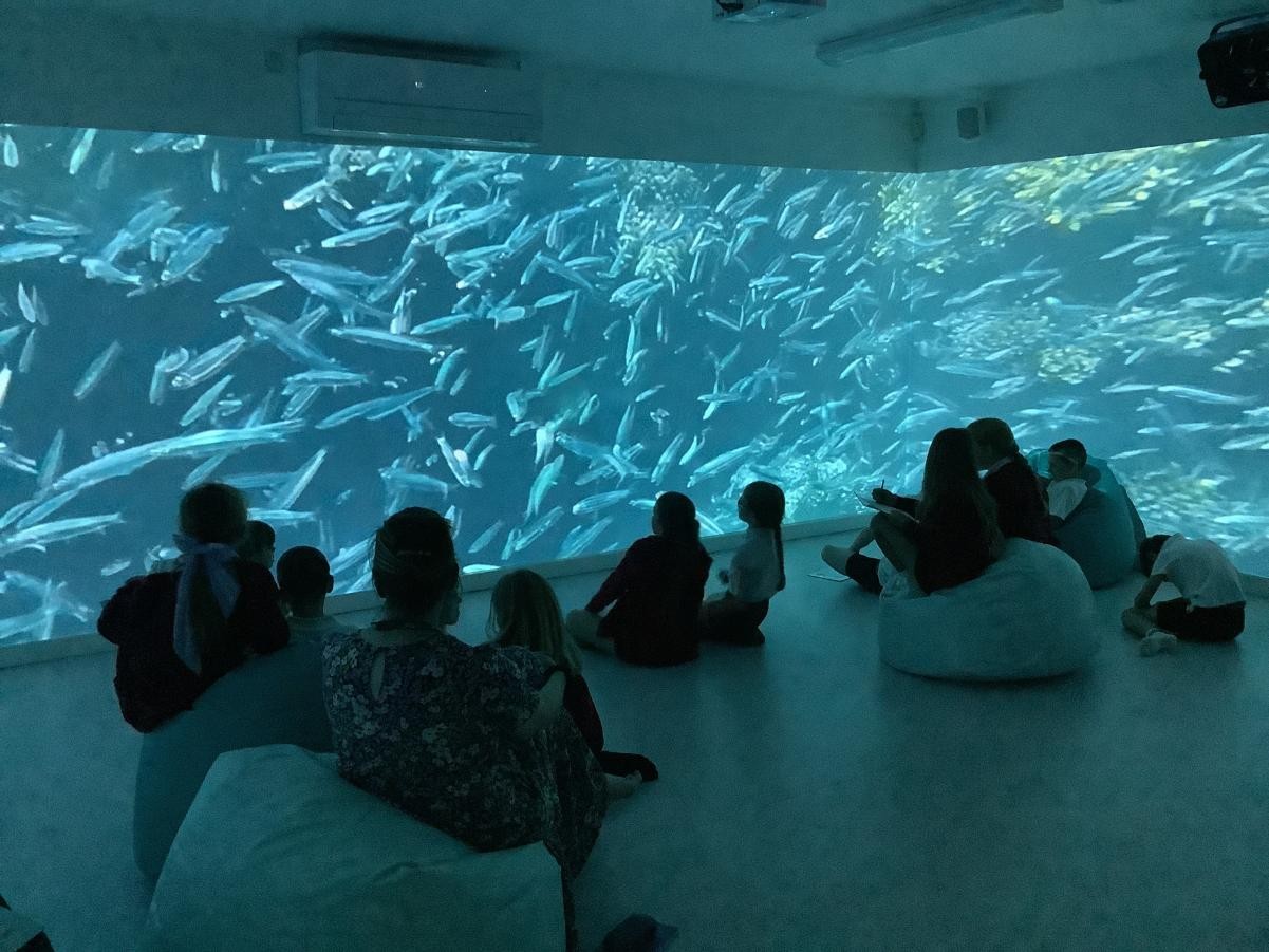 In the immersive suite, we investigated 'under the sea' and used this to write a setting description!