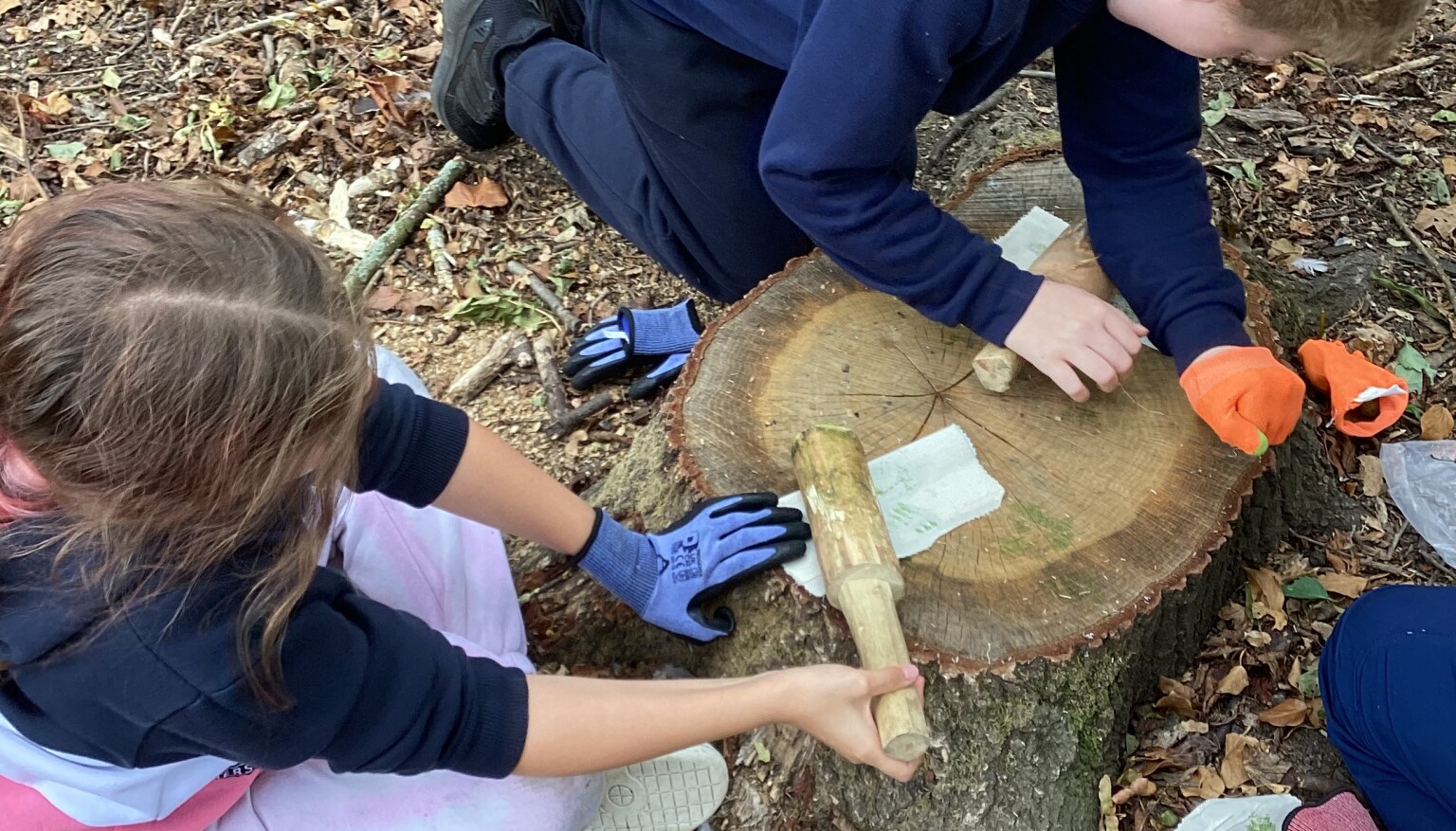 Forest School Sept 26