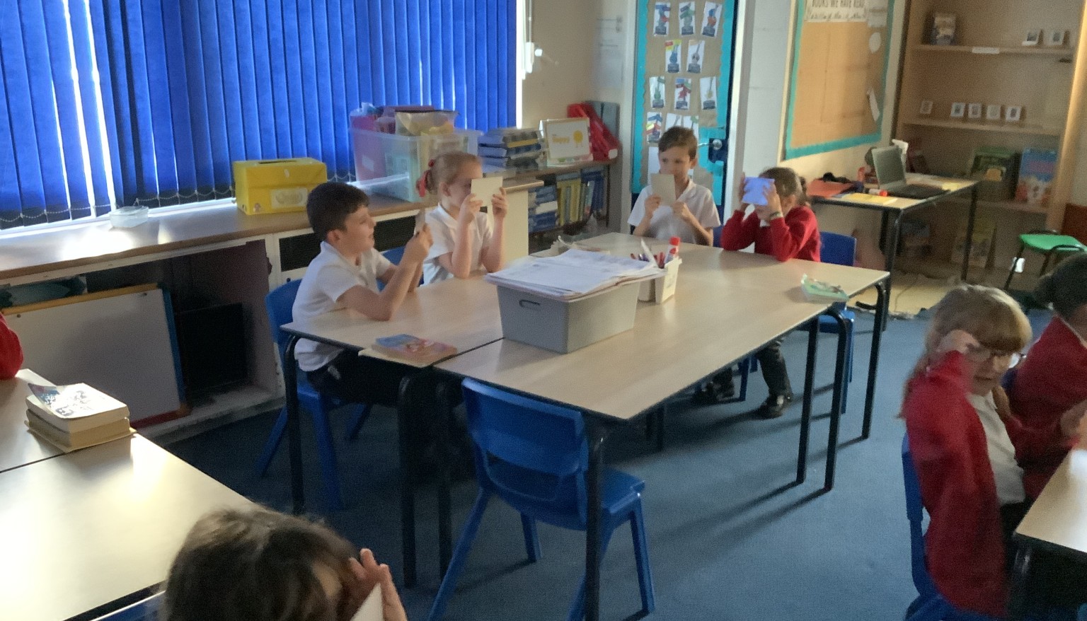 We made sure the room was dark before looking at our pupils in a mirror.