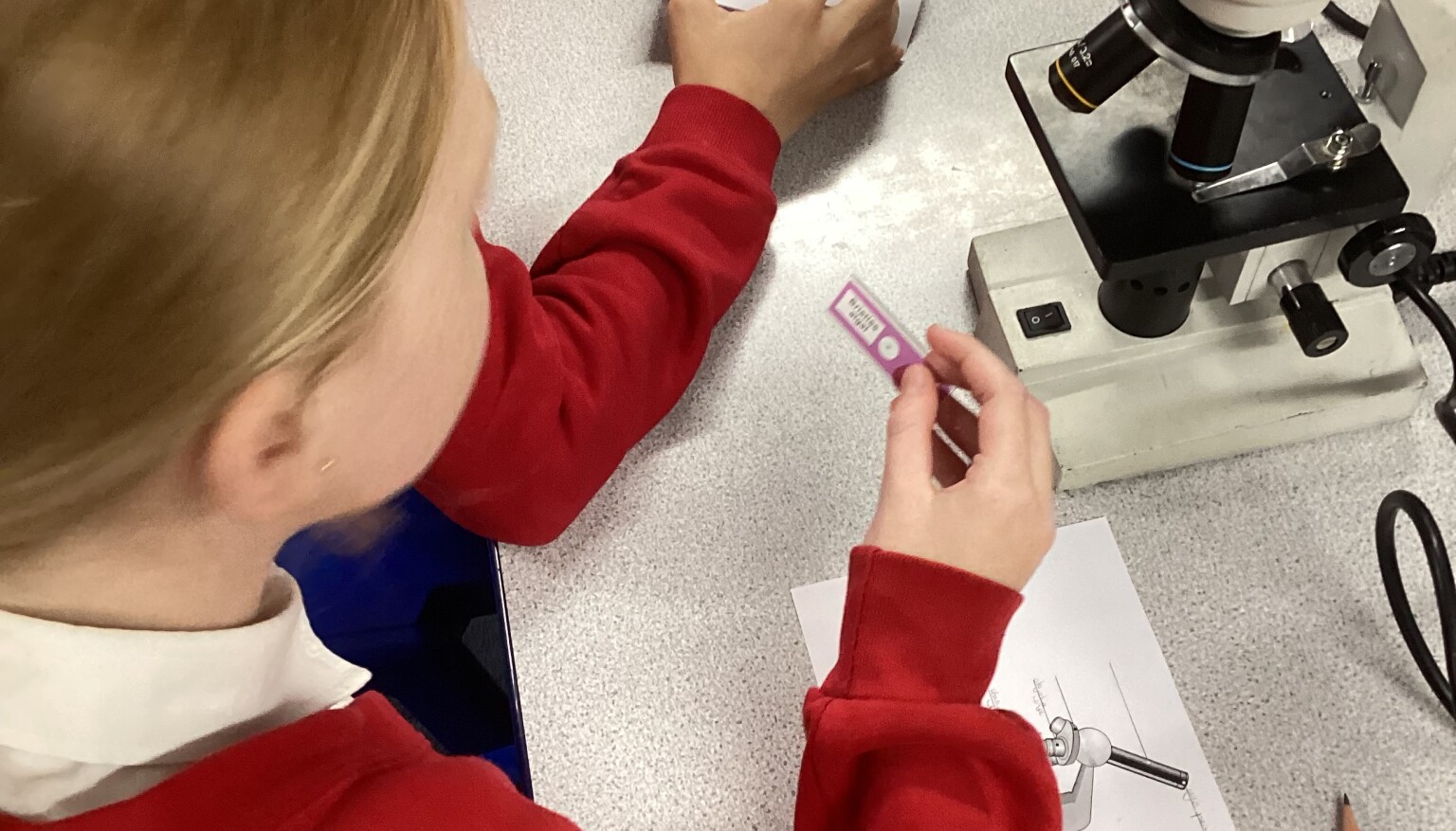 Science - Microscope session