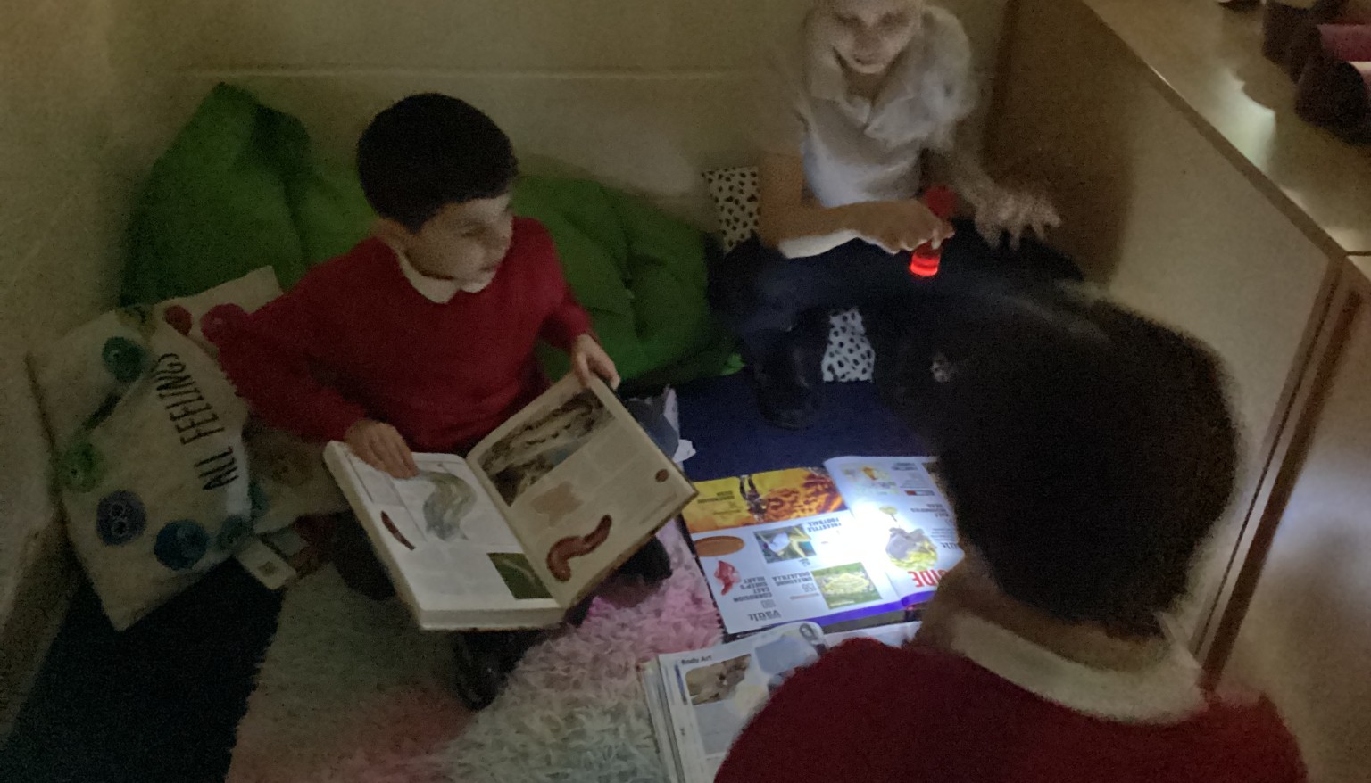 Shared Reading