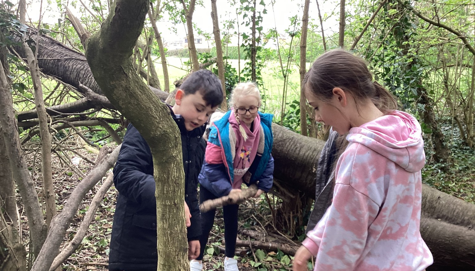 Having fun in the forest