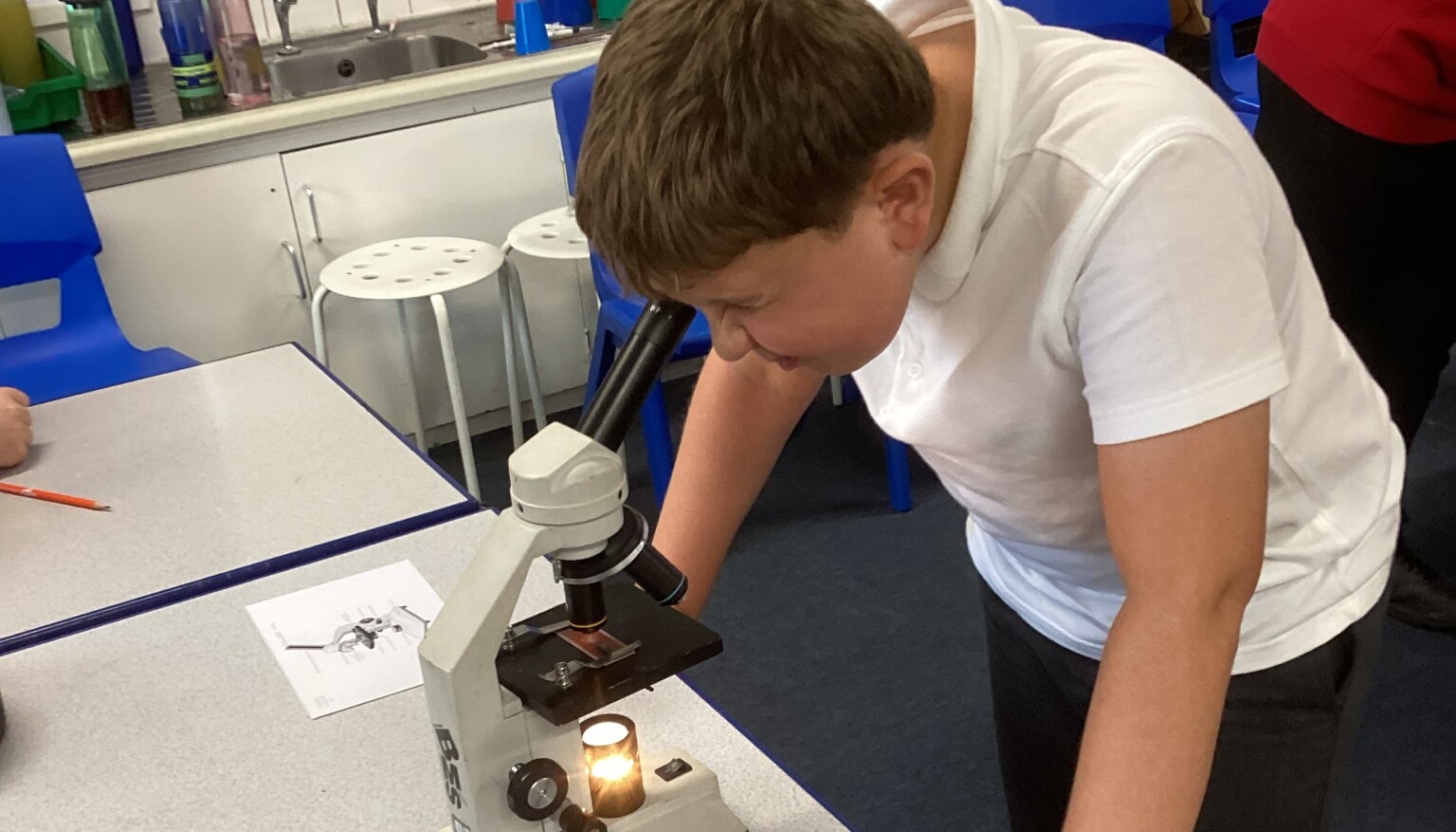 Science - Microscope session