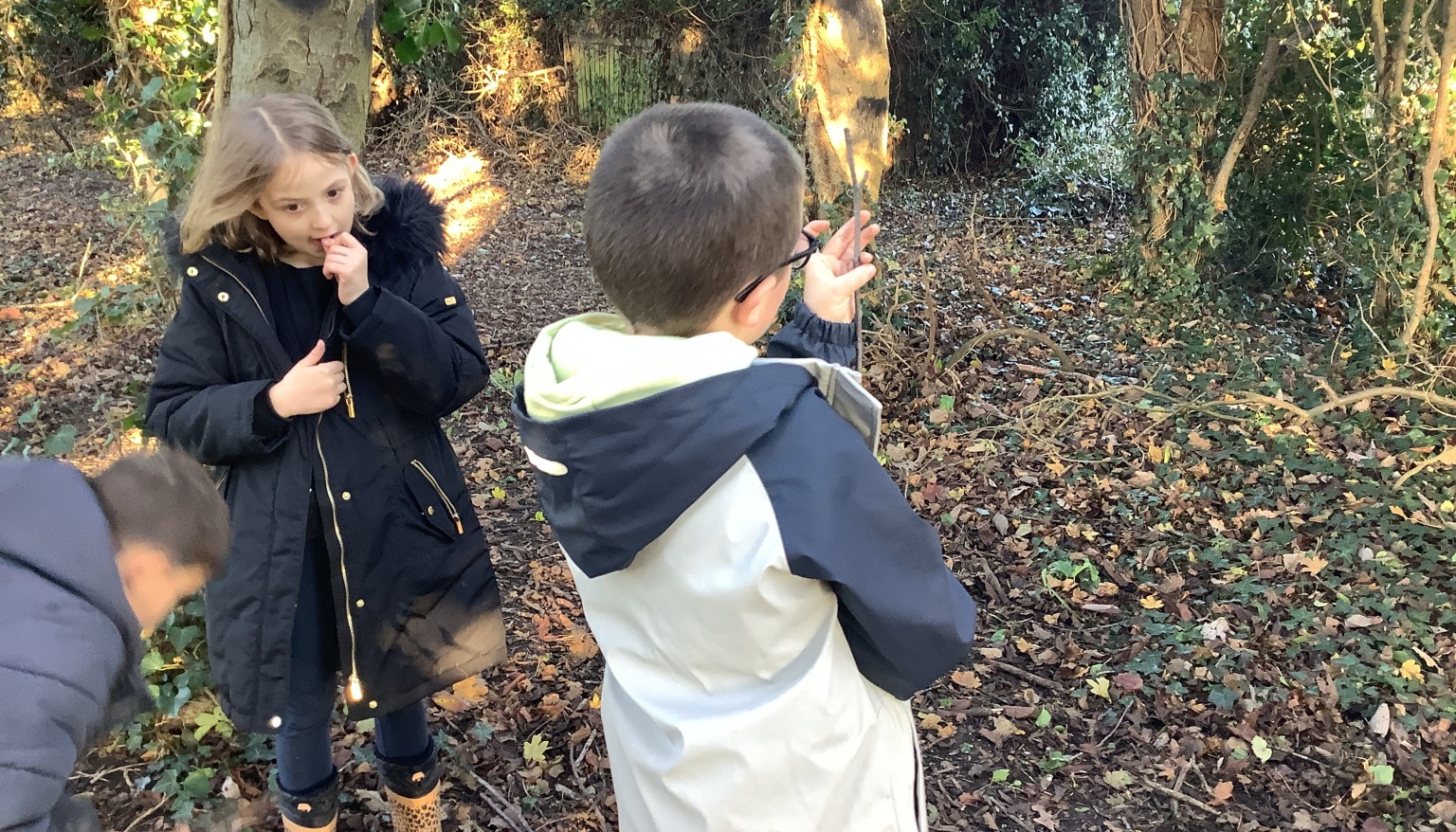 Autumn Term