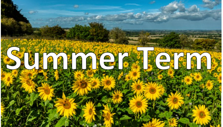 Summer Term