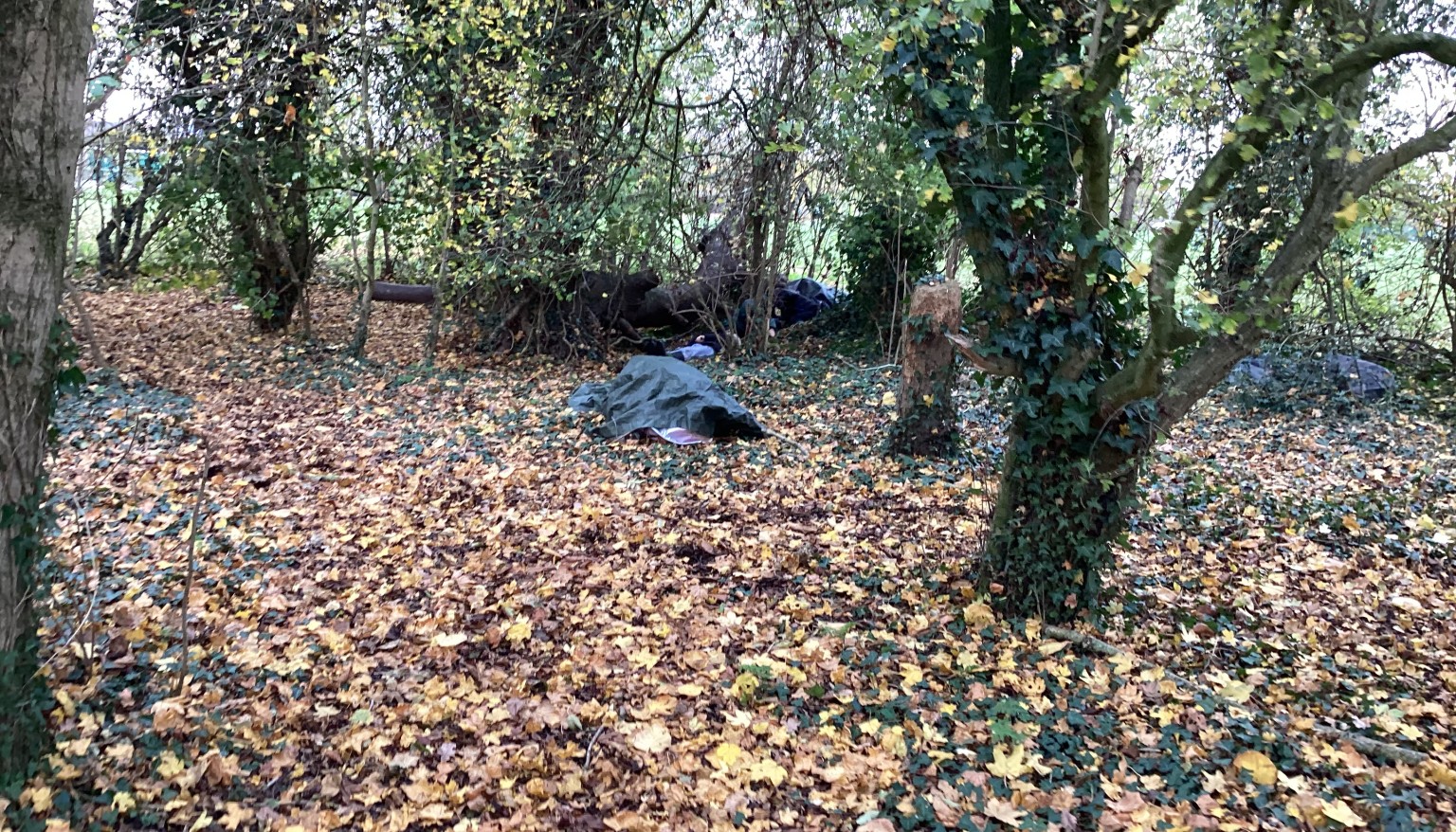 Bet you can't spot us! We played hide and seek at forest school