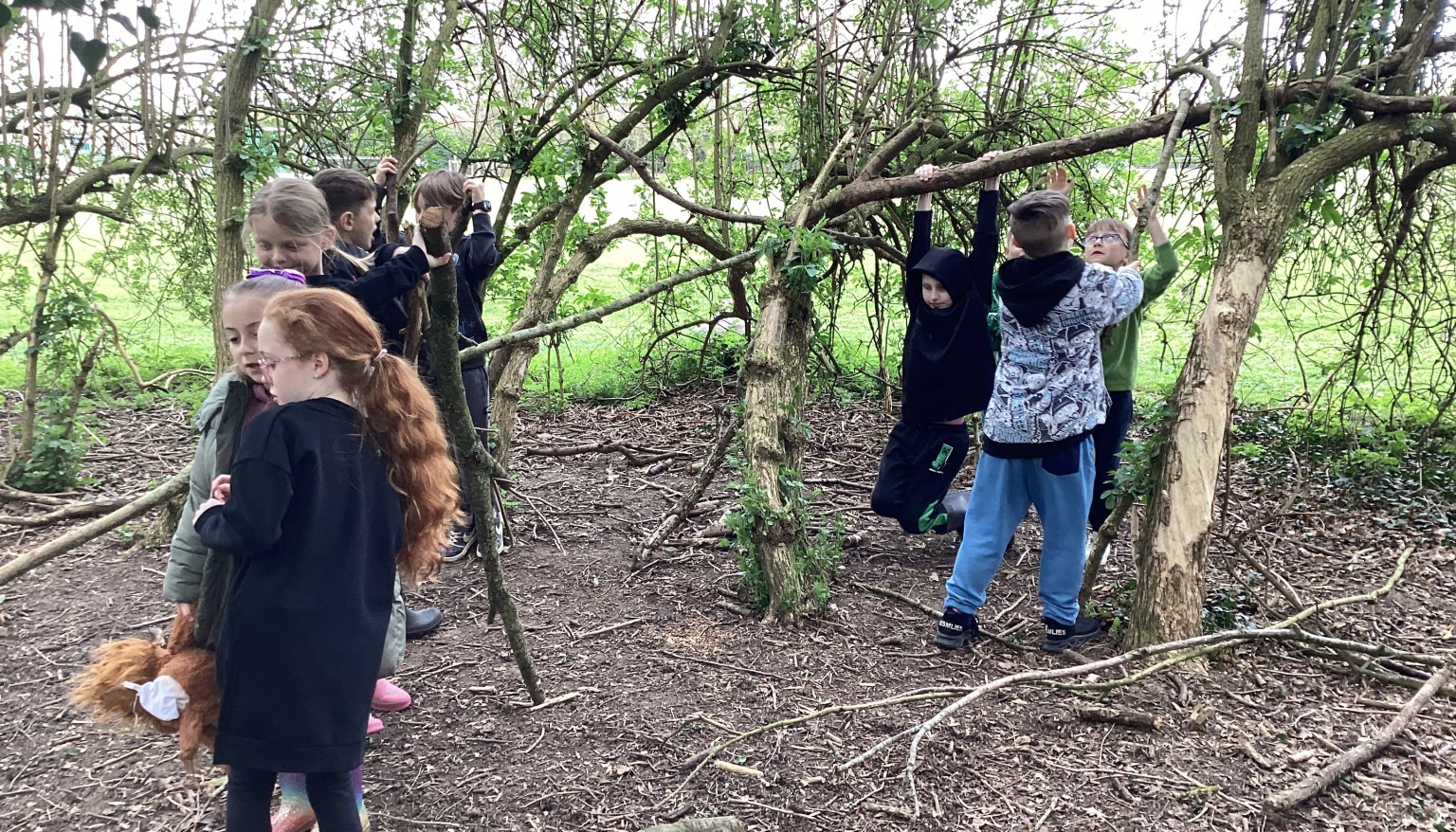 Having fun in the forest