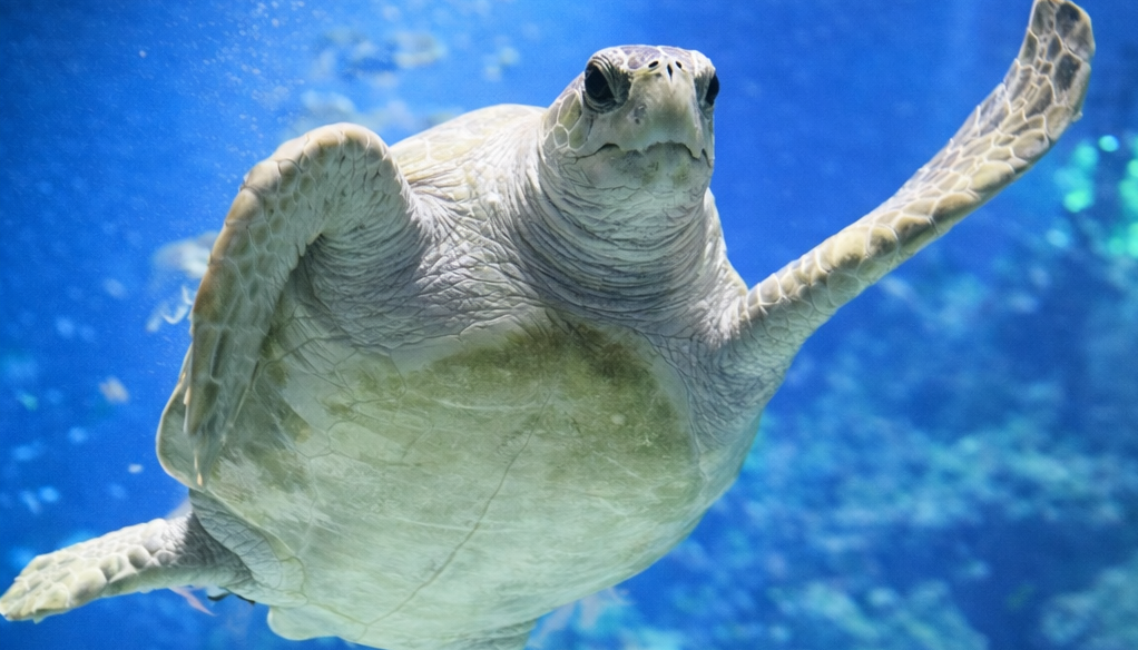 We had an amazing trip to start off our new topic