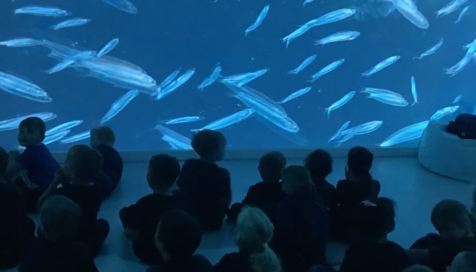 We visited the immersive suite to help with our writing