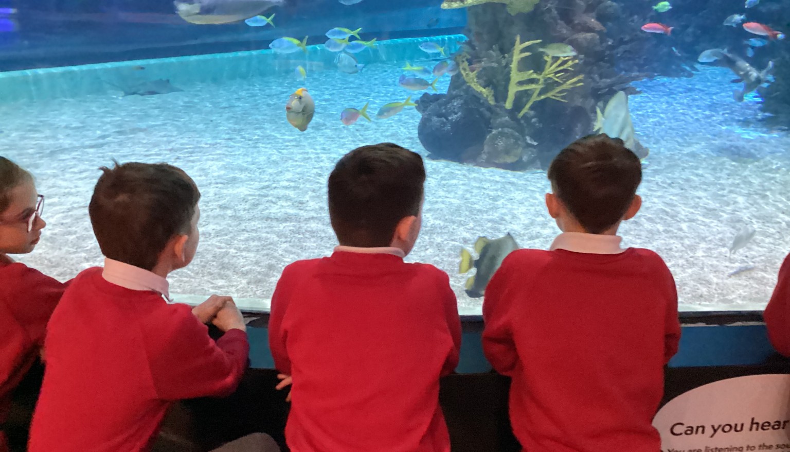 We had an amazing day at the deep