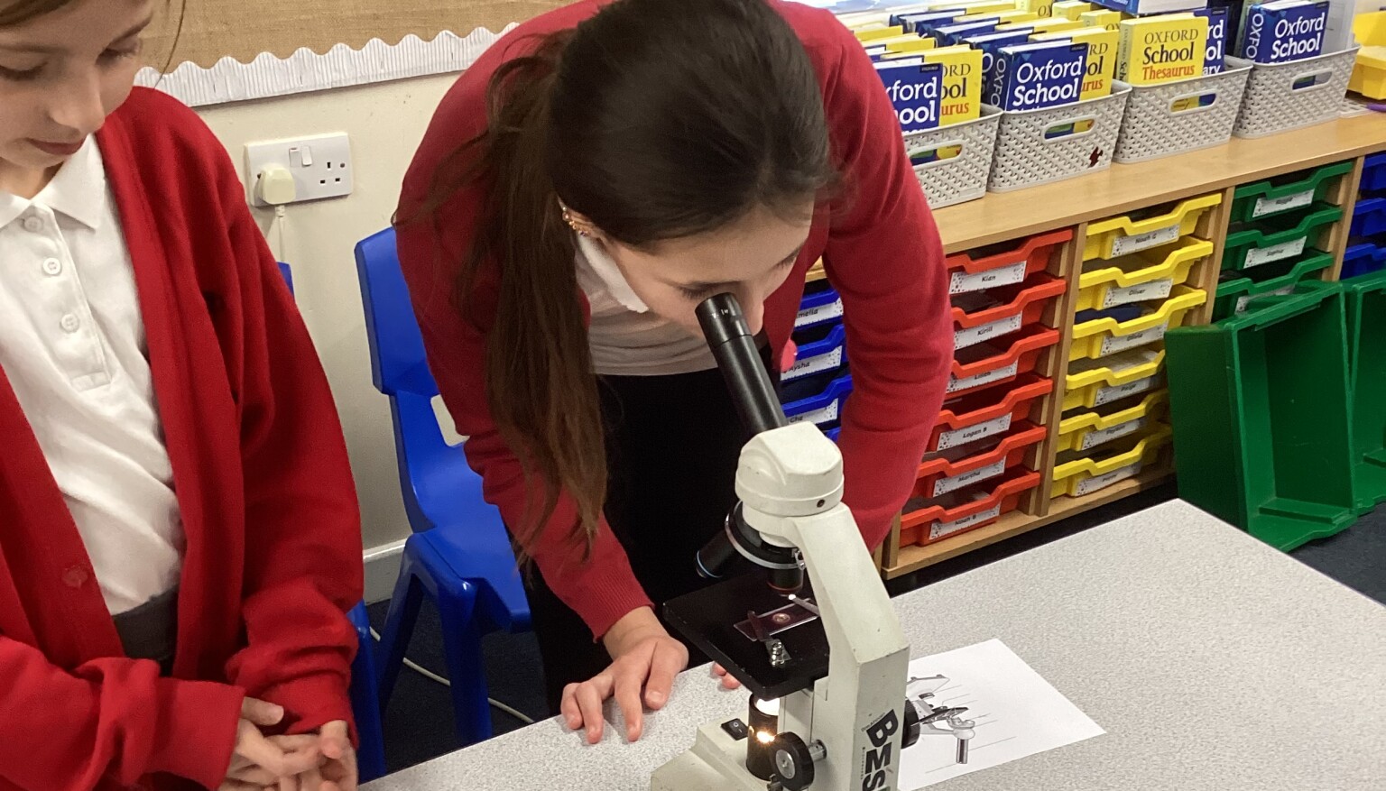 Science - Microscope session