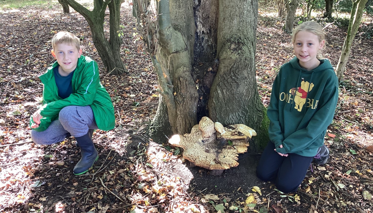 Forest School
