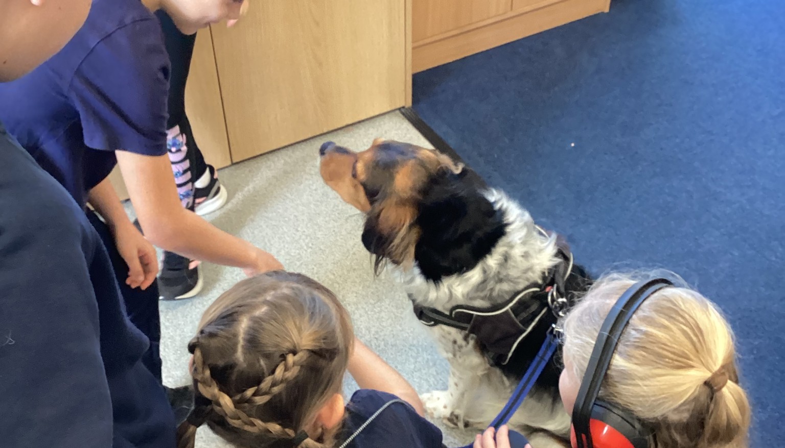 Arlo came to visit us in class