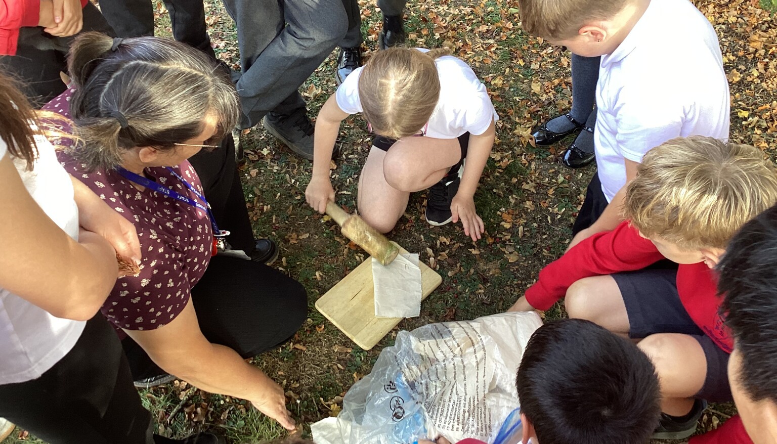 Science - Plant / Tree classification