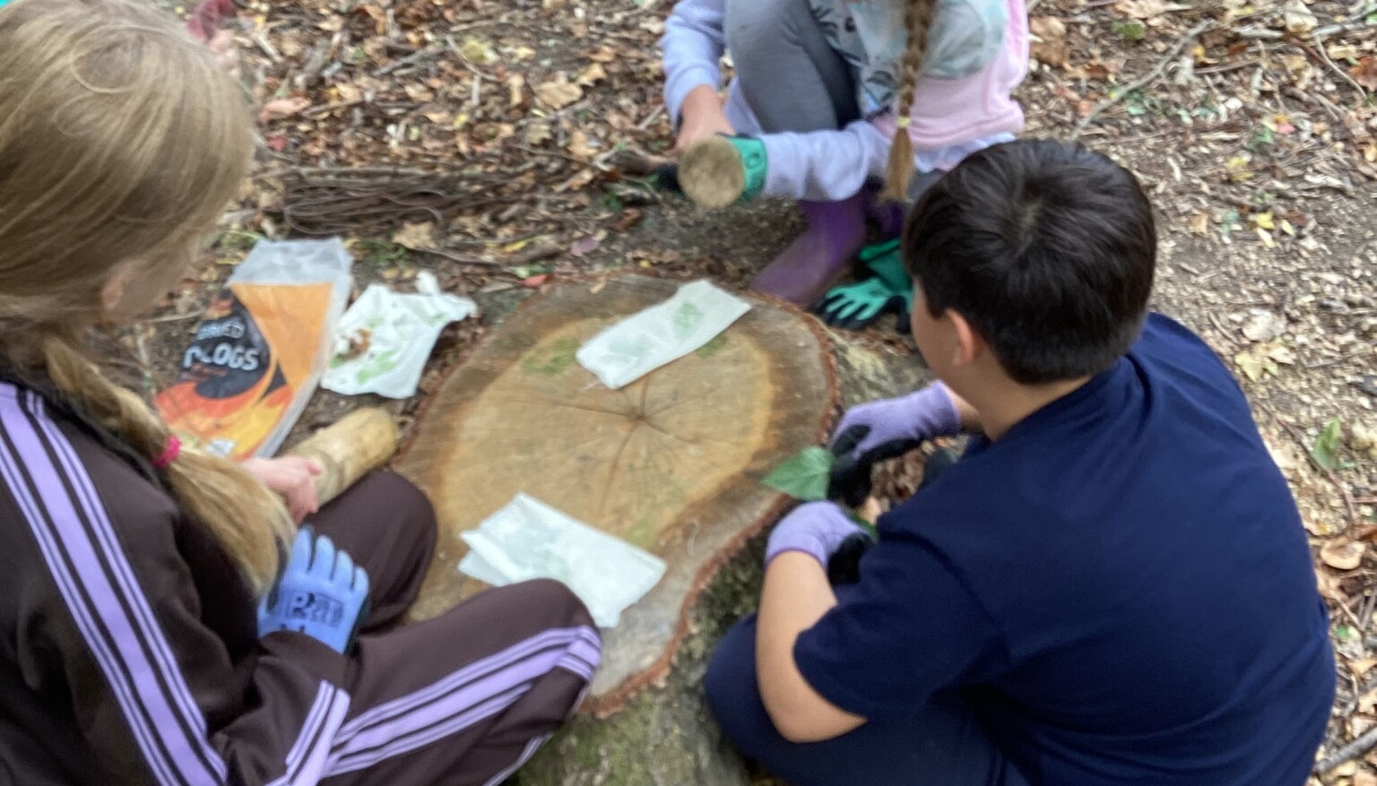 Forest School Sept 26